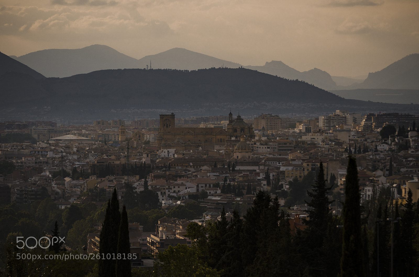 Nikon D7000 sample photo. La catedral de granada photography