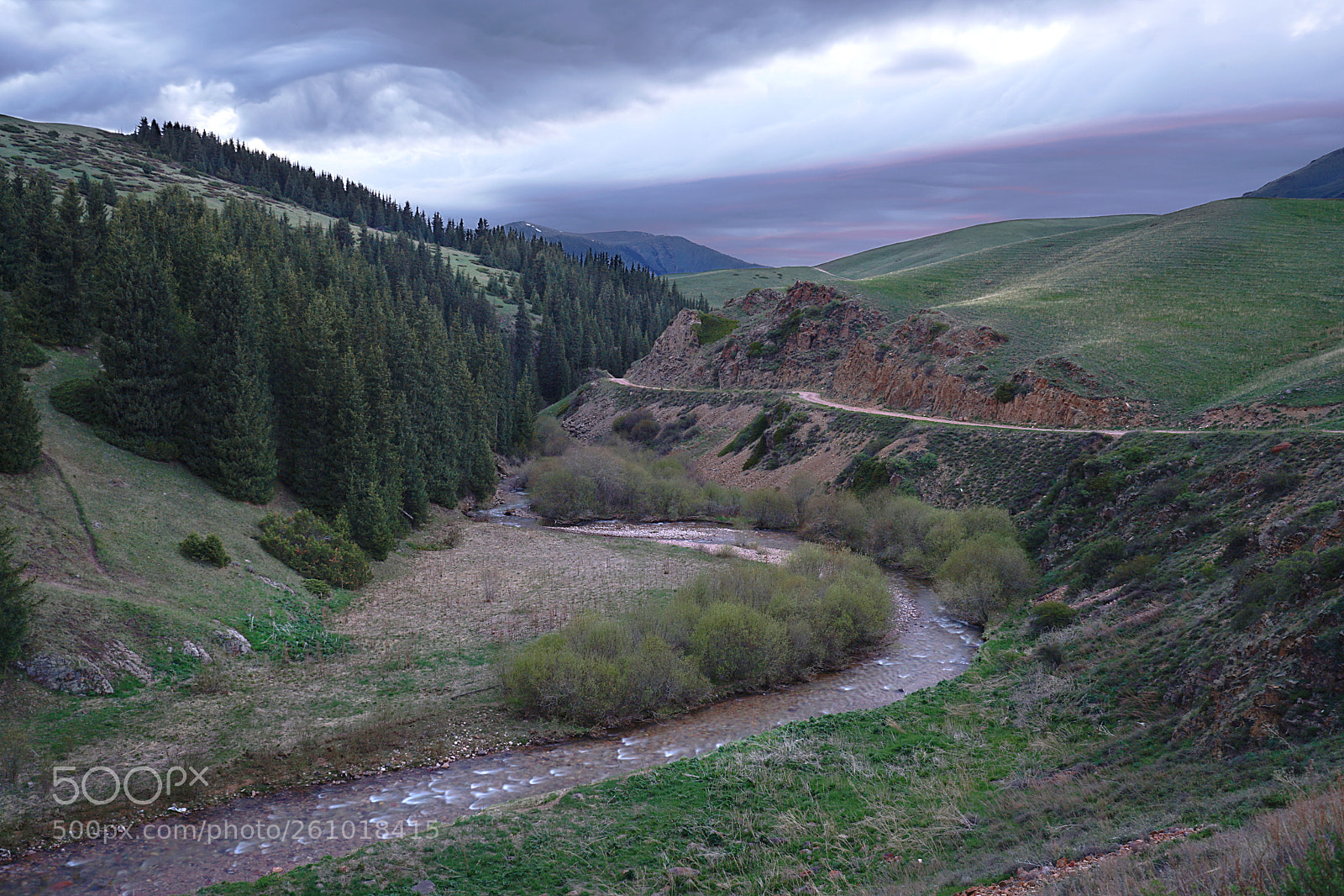 Sony a7 II sample photo. Green road landsacpe photography