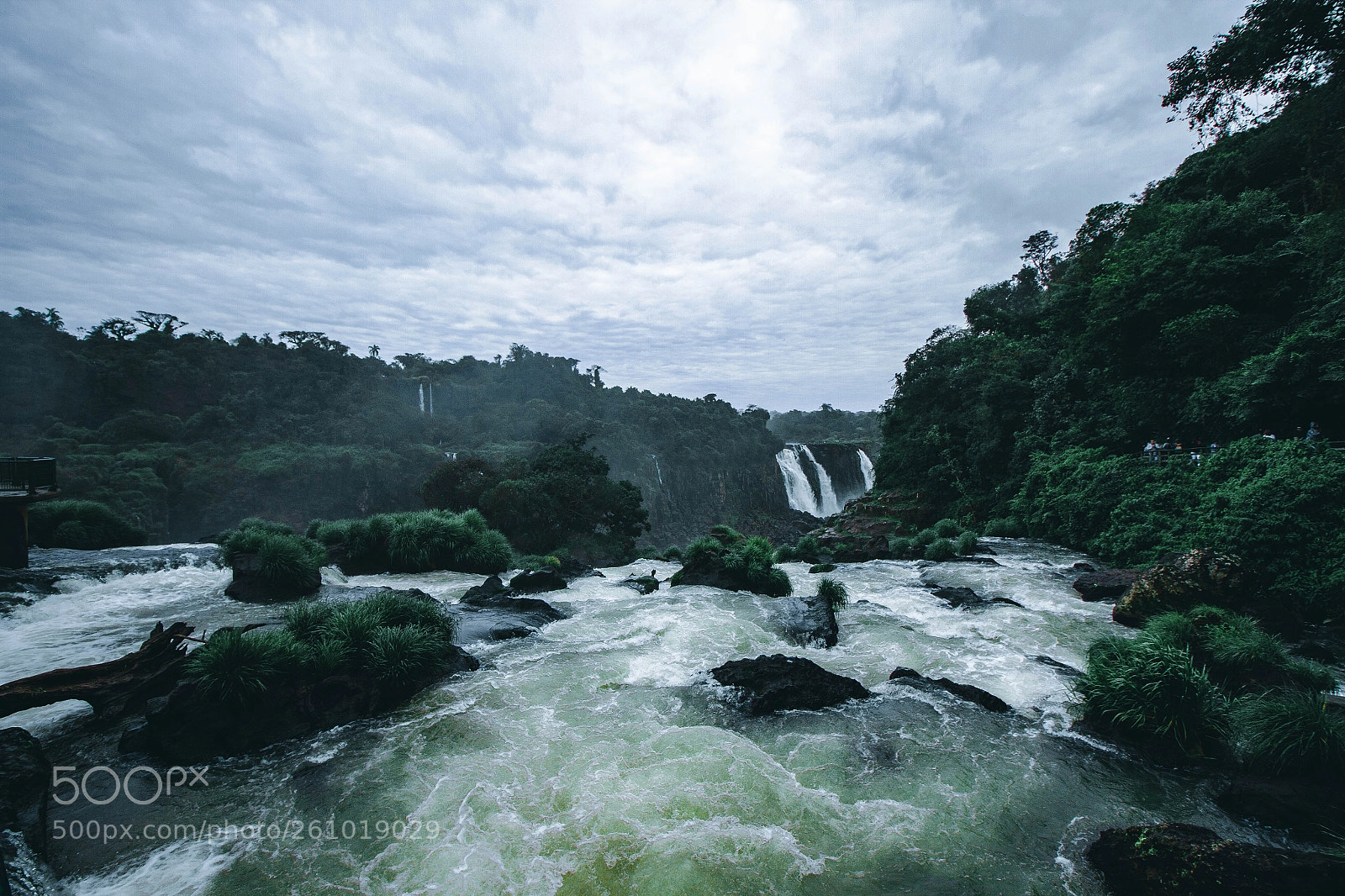 Canon EOS 7D sample photo. Wild photography