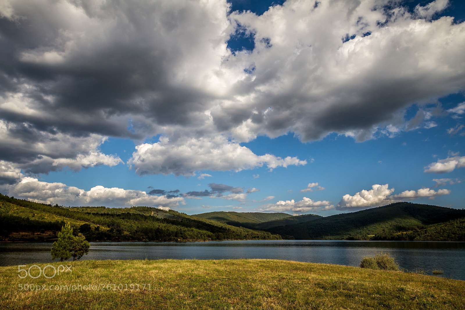 Canon EOS 7D sample photo. Portugal - nature photography