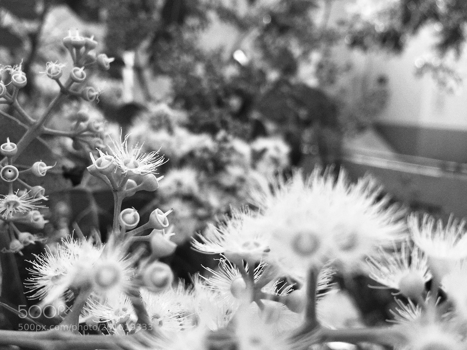 Apple iPhone 6s sample photo. Beginning  photography