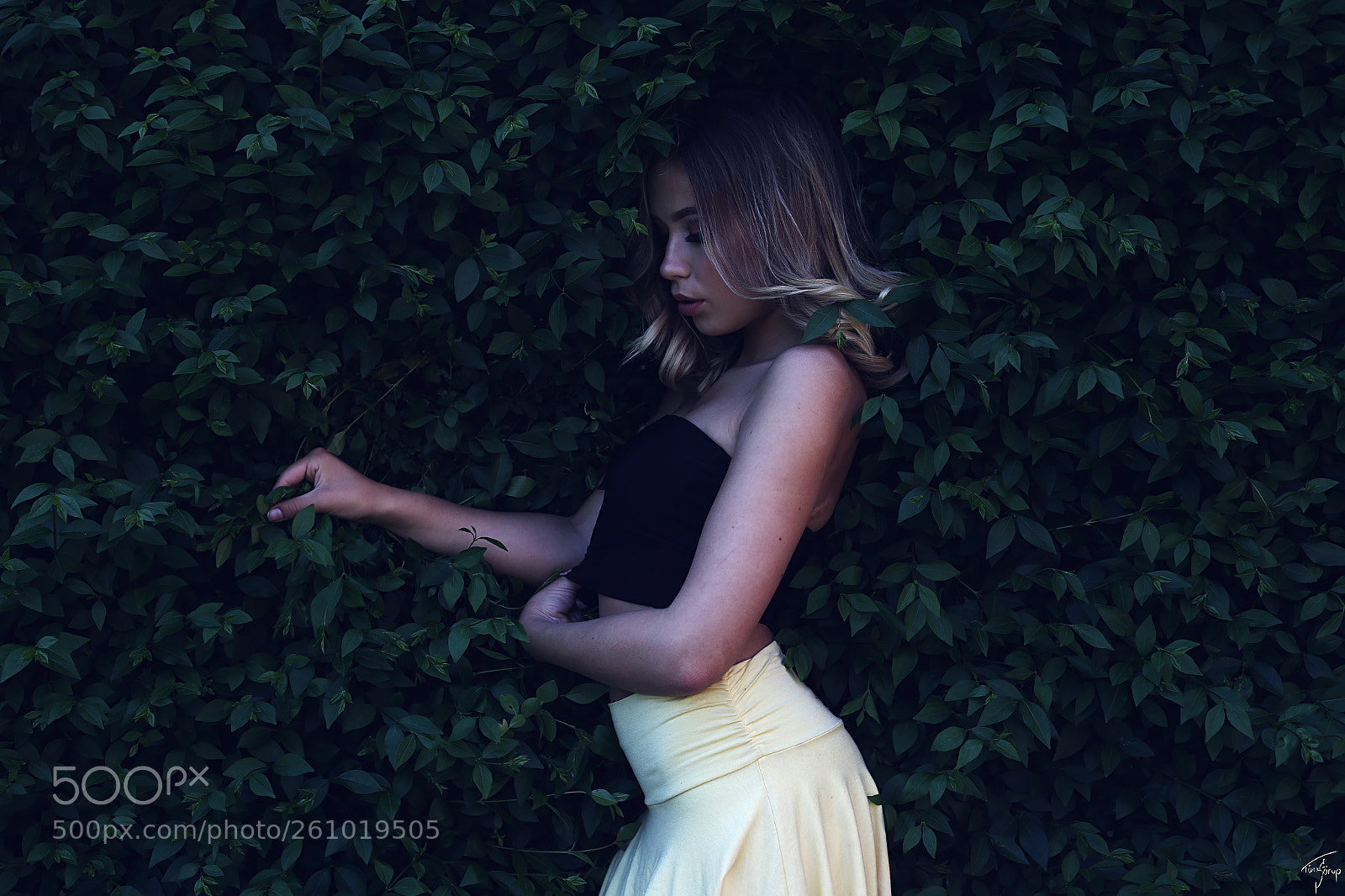 Canon EOS 6D sample photo. . woods ii photography