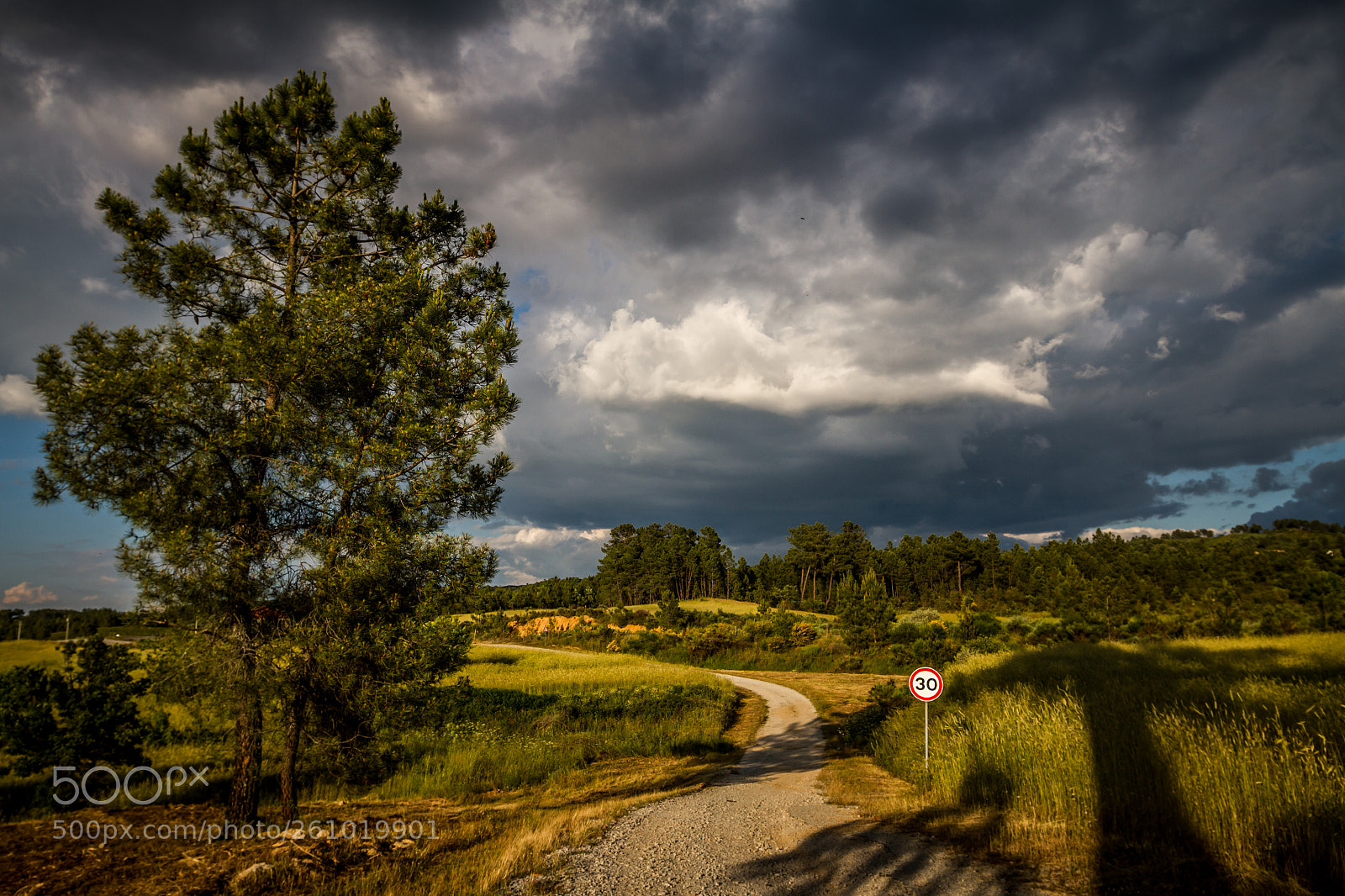Canon EOS 7D sample photo. Portugal nature photography