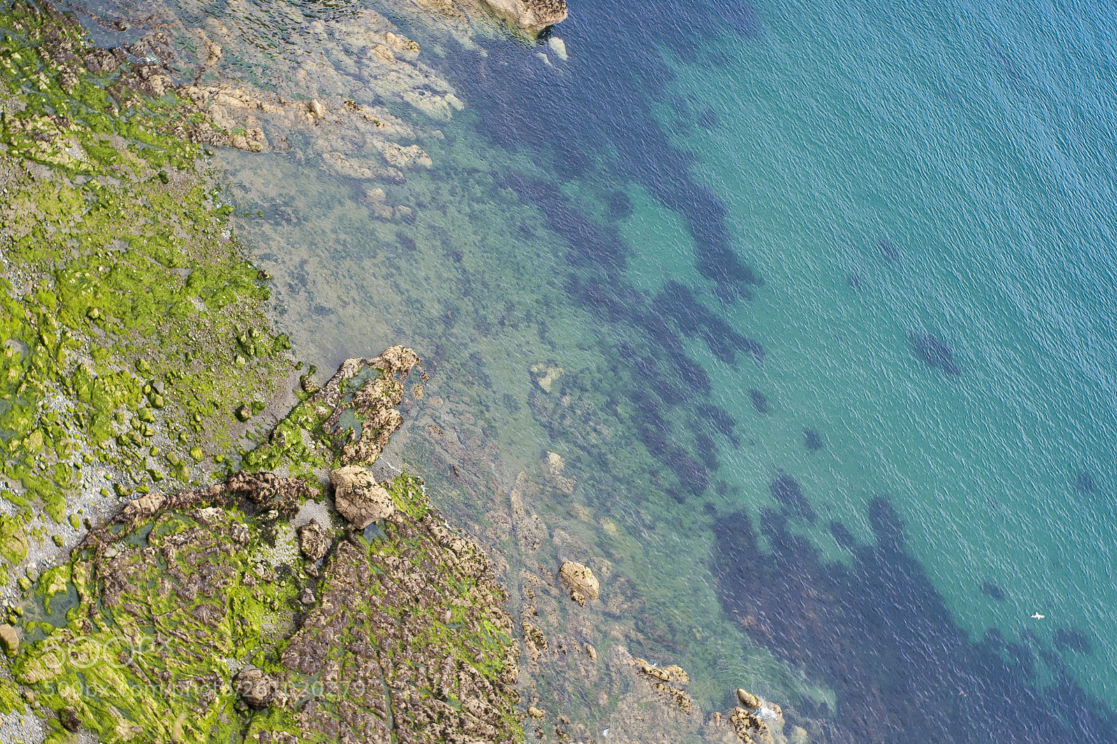 Sony Alpha DSLR-A300 sample photo. Where the green meets photography
