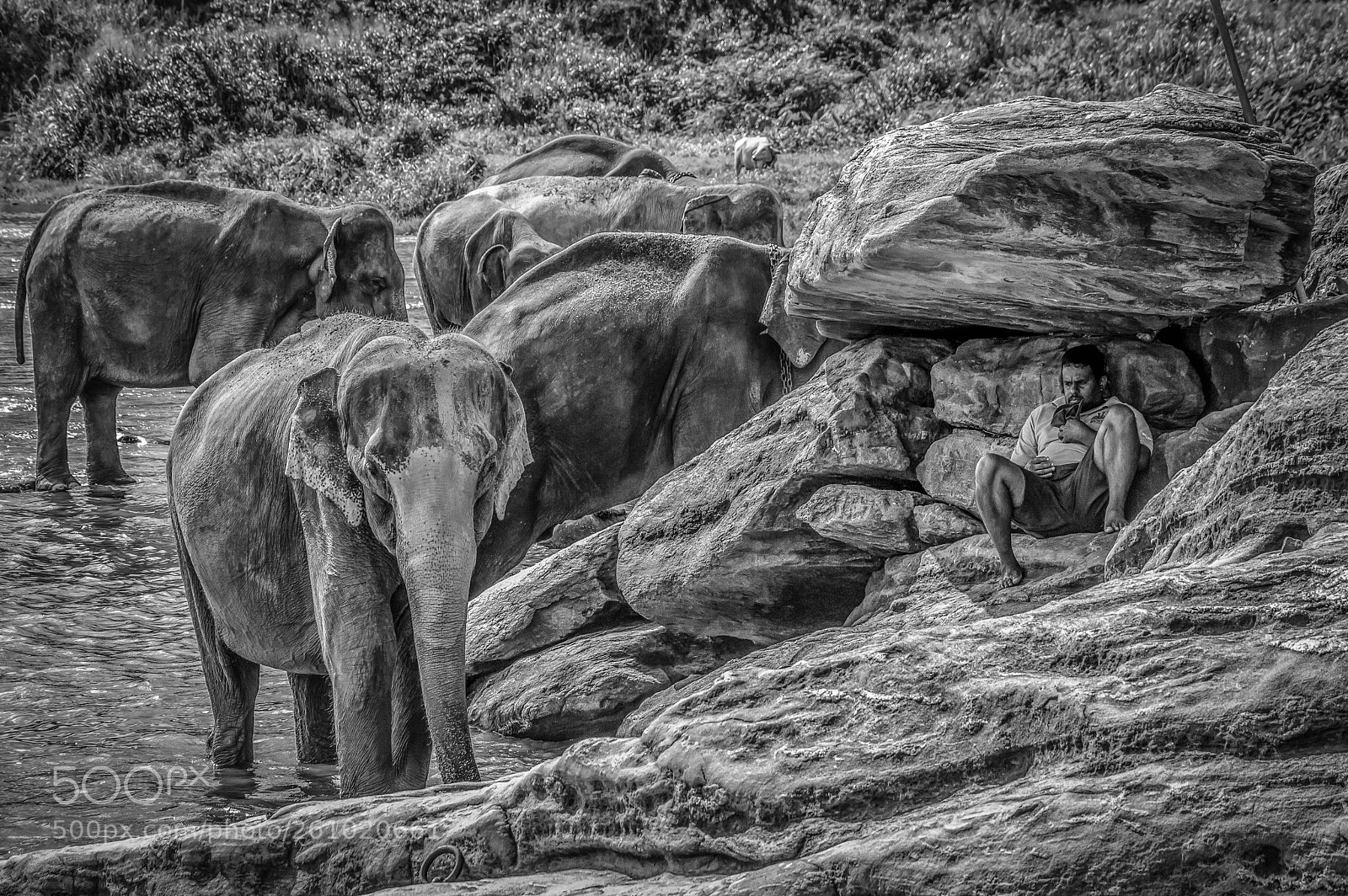 Nikon D3200 sample photo. Sri lanka photography