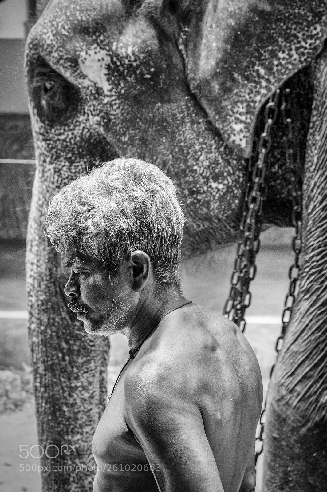 Nikon D3200 sample photo. Sri lanka photography