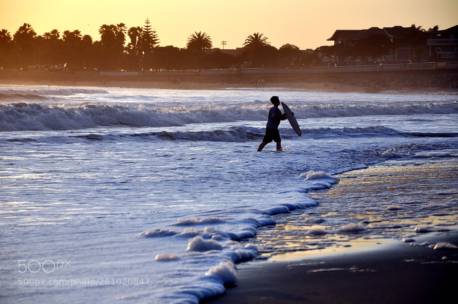 Nikon D90 sample photo. Live for today photography