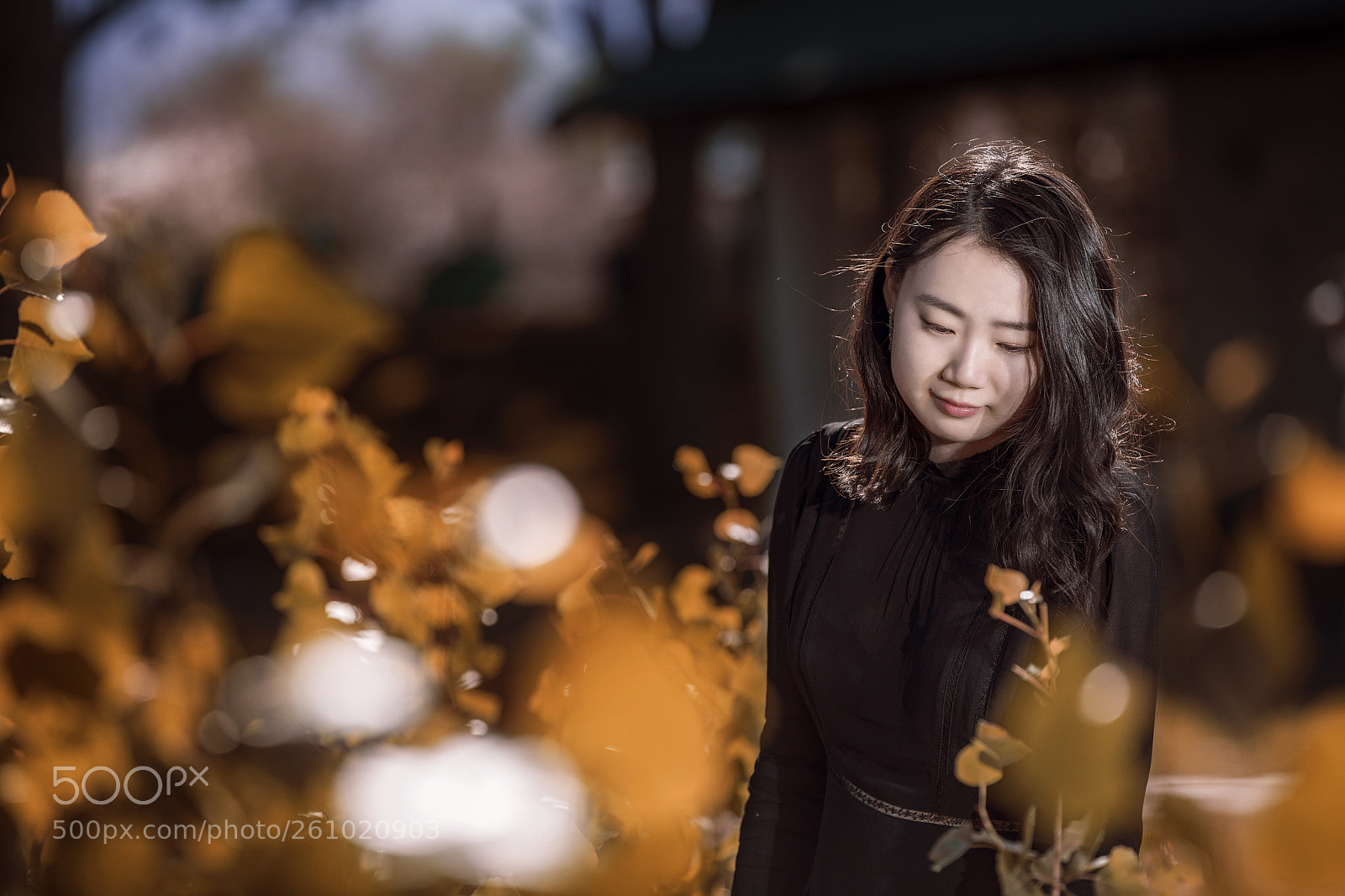 Canon EOS 5D Mark IV sample photo. 春花秋月 photography