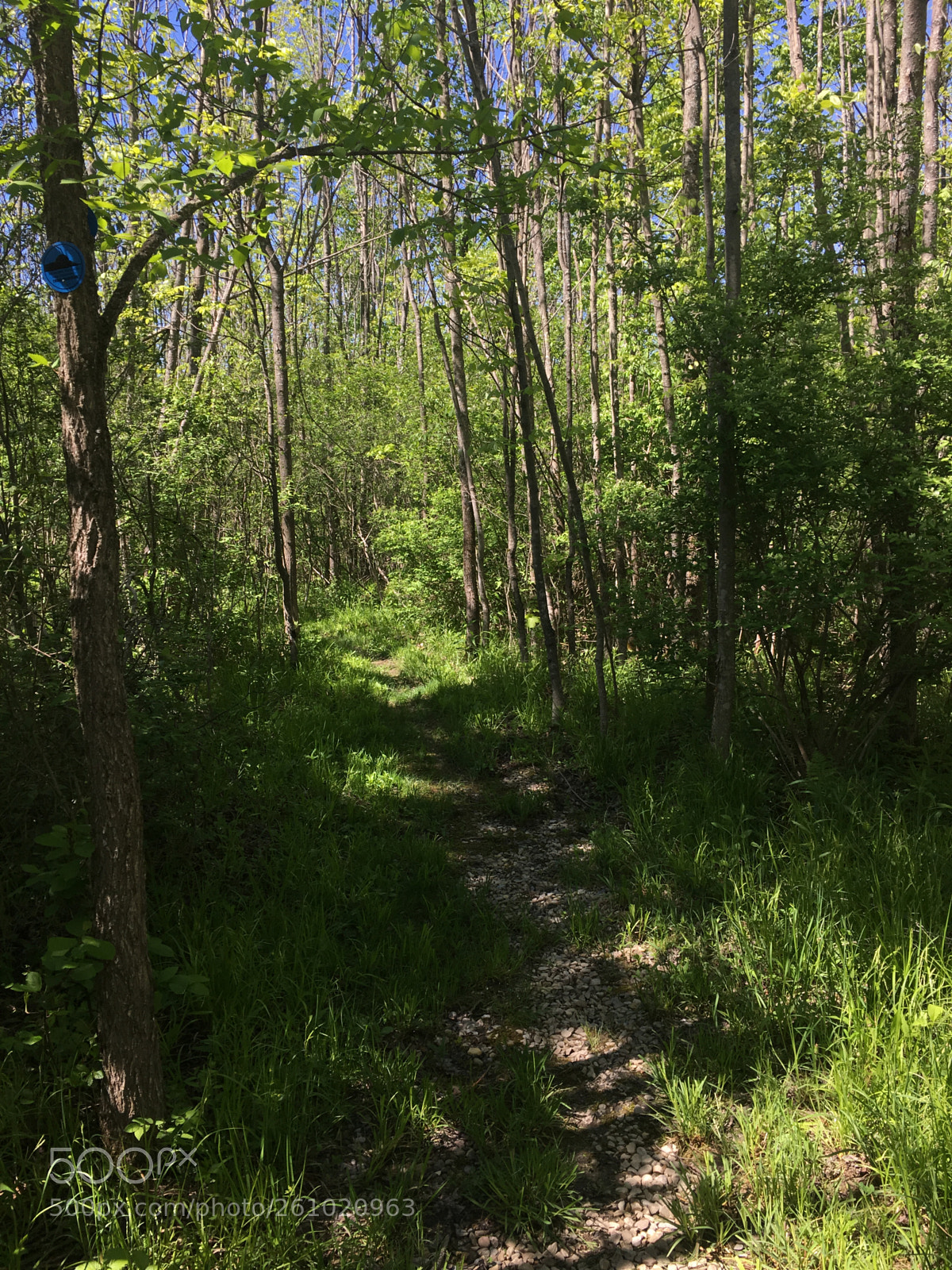 Apple iPhone 6s sample photo. Lost valley, a trail photography