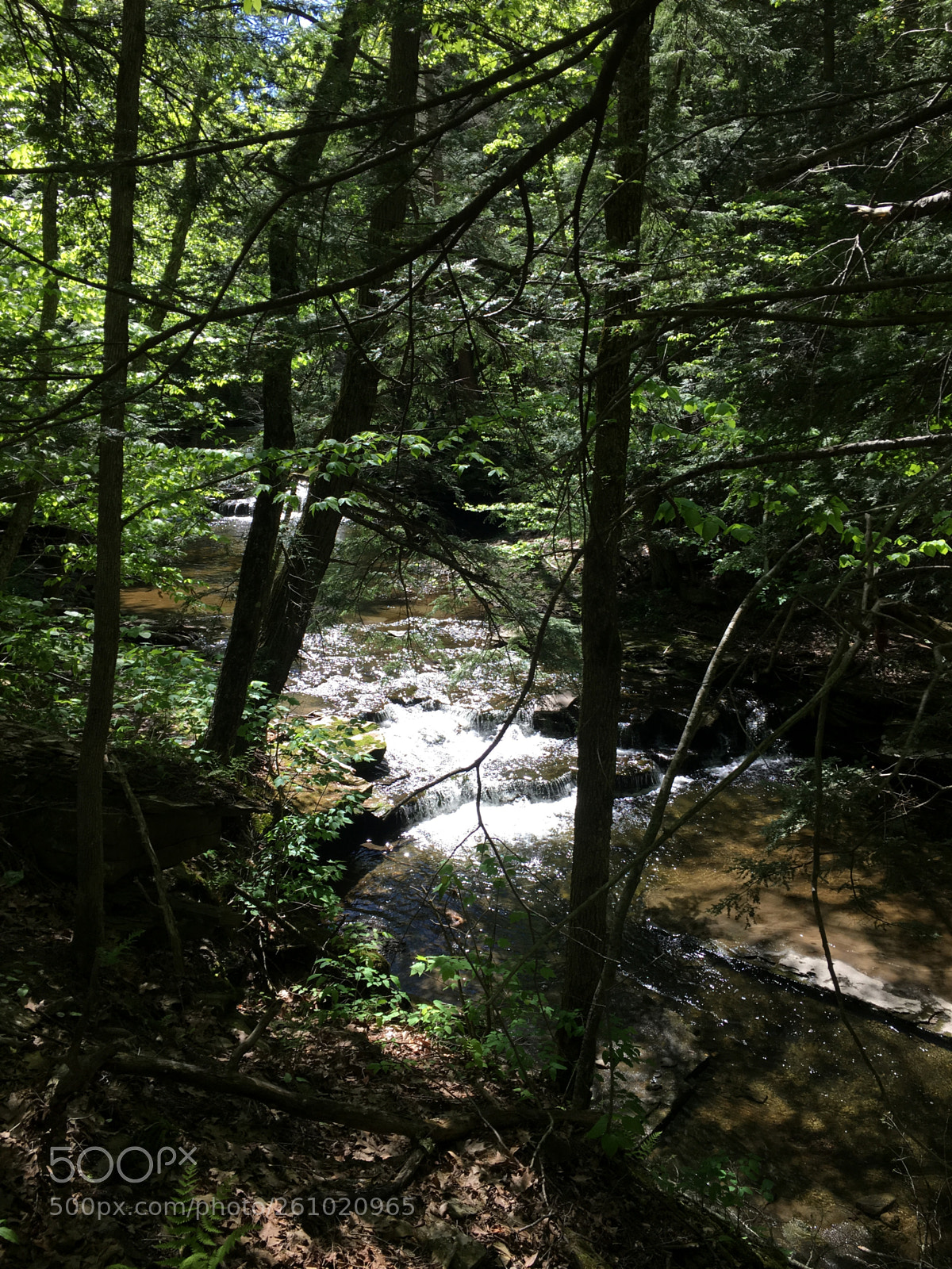 Apple iPhone 6s sample photo. Lost valley, the creek photography