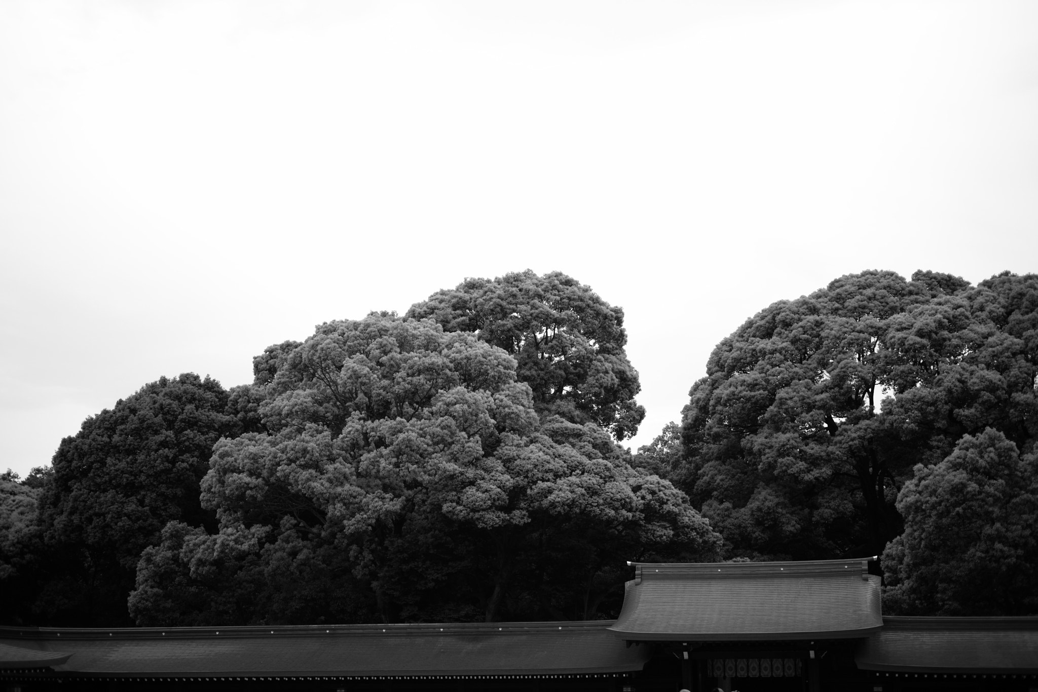 Leica M (Typ 262) sample photo. Tokyo photography