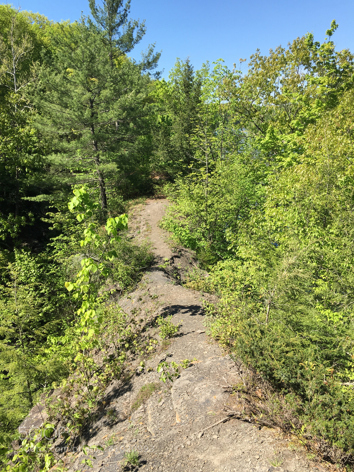 Apple iPhone 6s sample photo. Lost valley, danger on photography