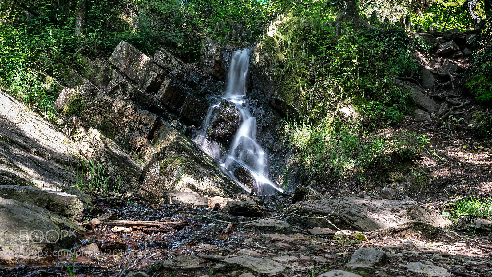 Nikon D5300 sample photo. Ballade dans la for photography