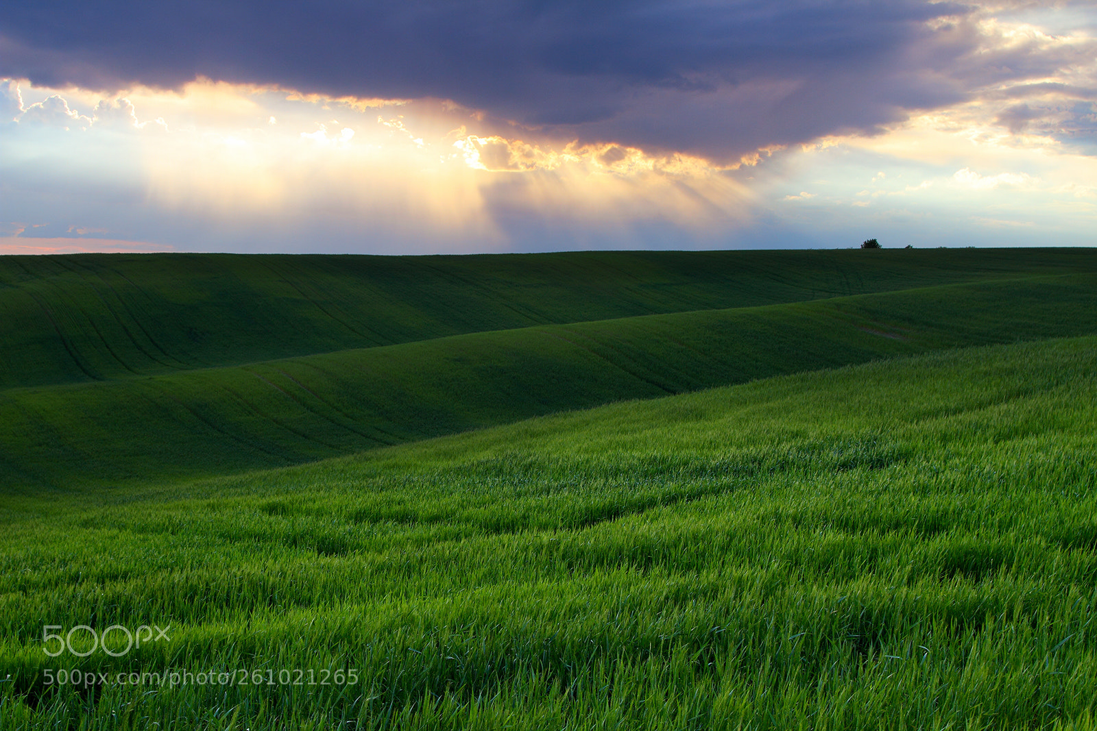 Canon EOS 7D sample photo. Cloudy evening photography