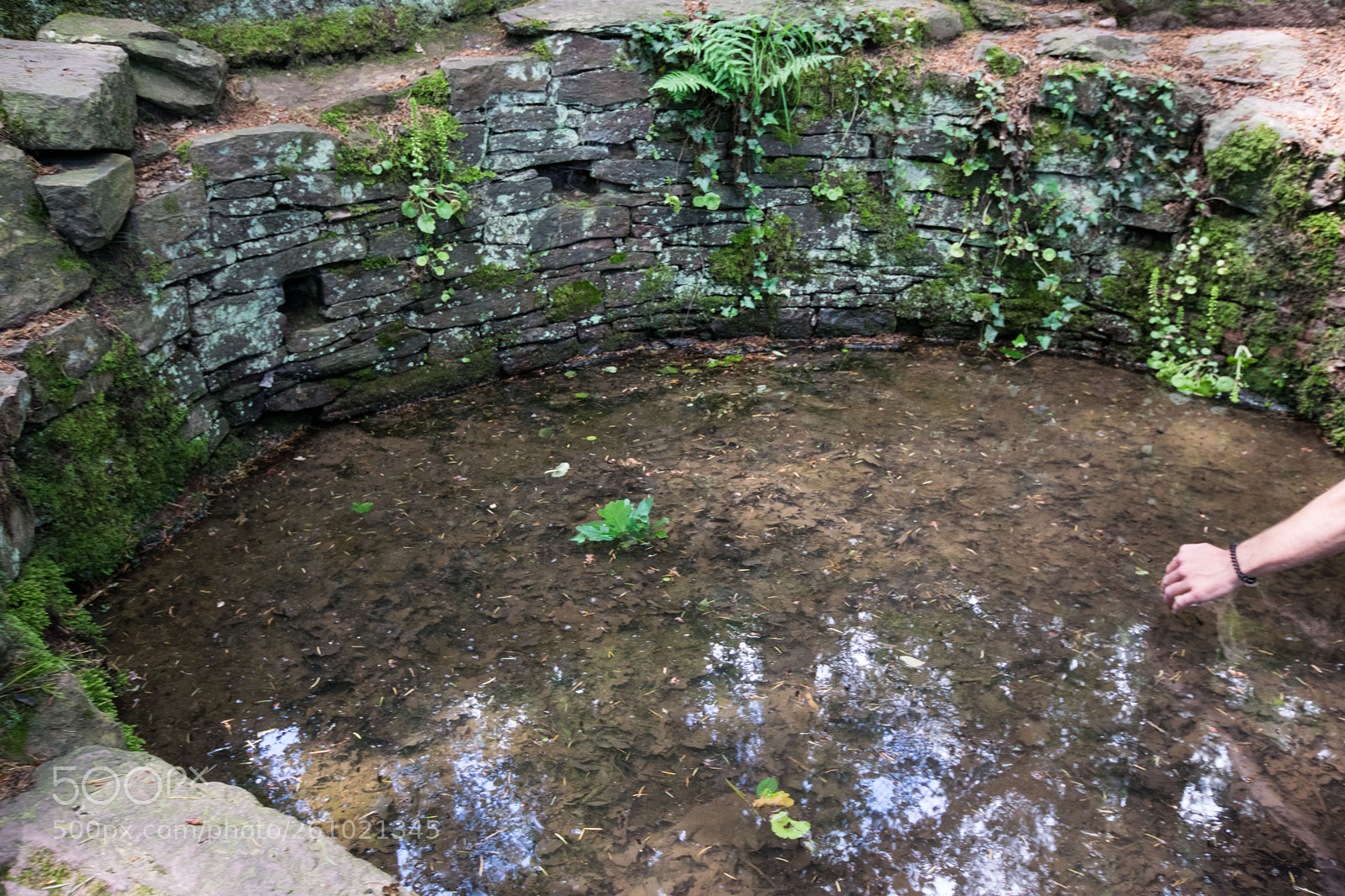 Nikon D5300 sample photo. La fontaine de jouvence photography
