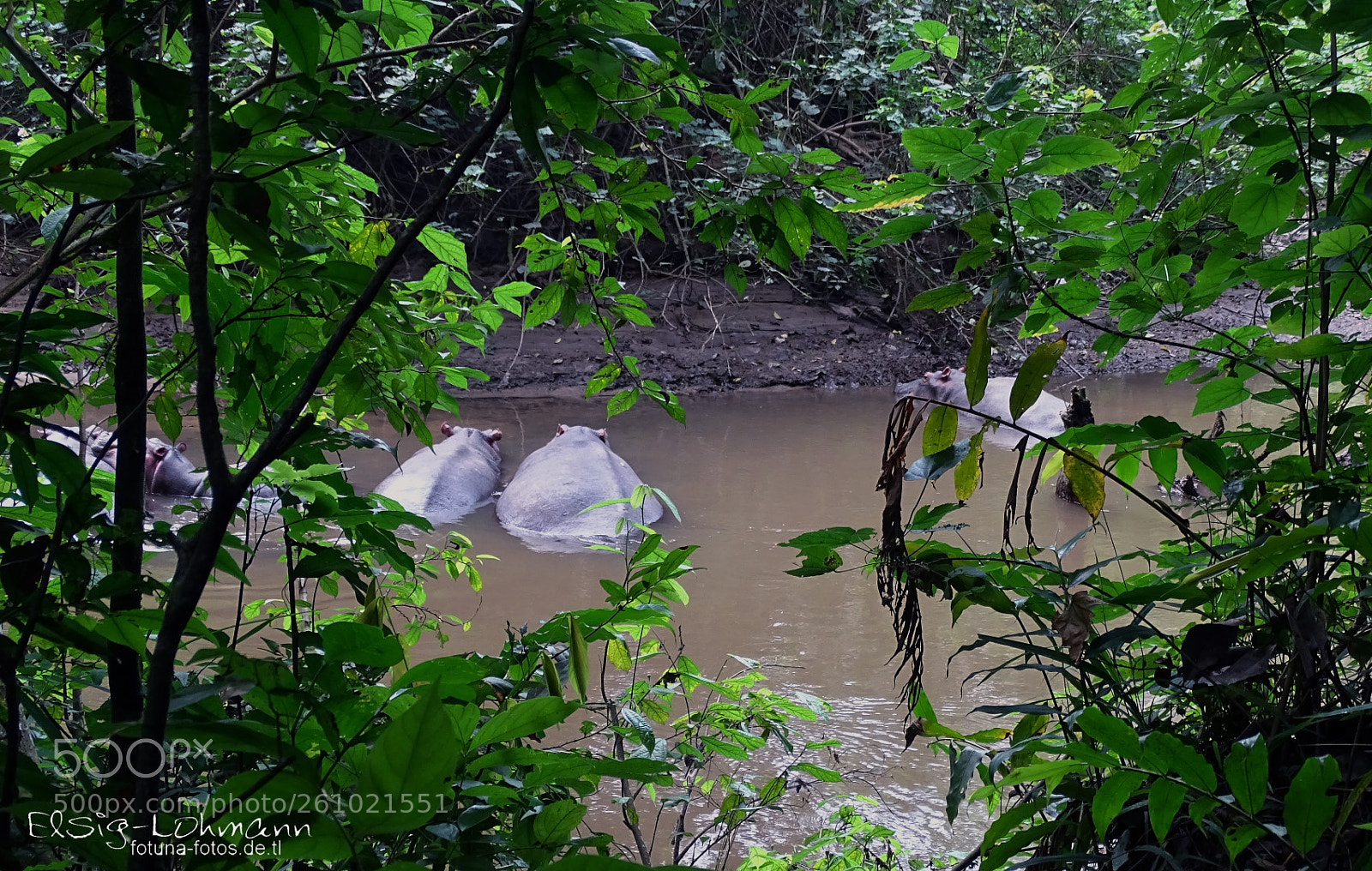 Sony Cyber-shot DSC-HX400V sample photo. Kayambura river with inhabitants photography