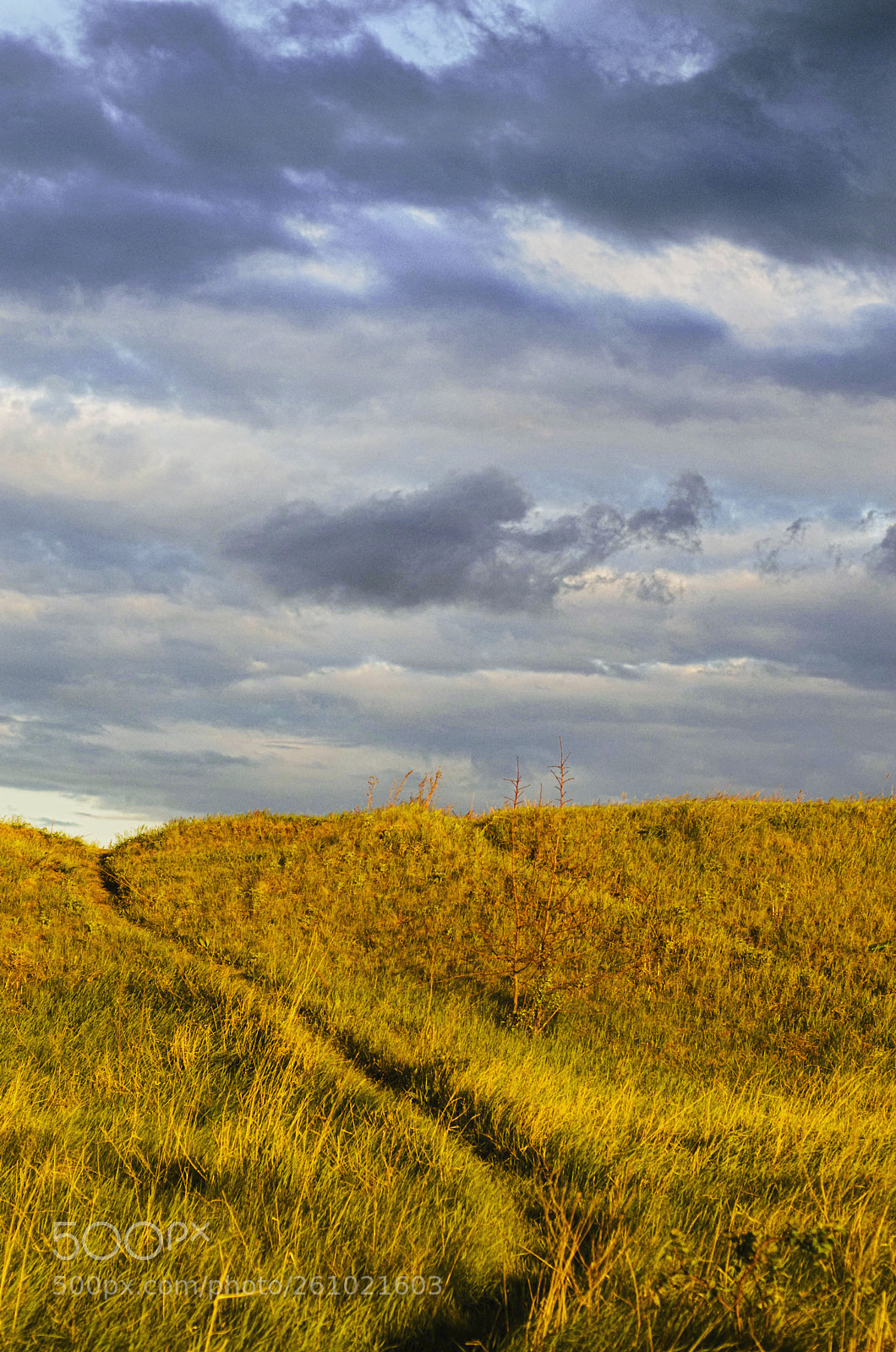 Nikon D5100 sample photo. Road photography