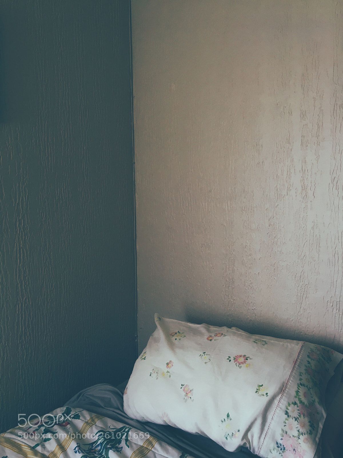 Apple iPhone 6s sample photo. Sleepy pillow  photography