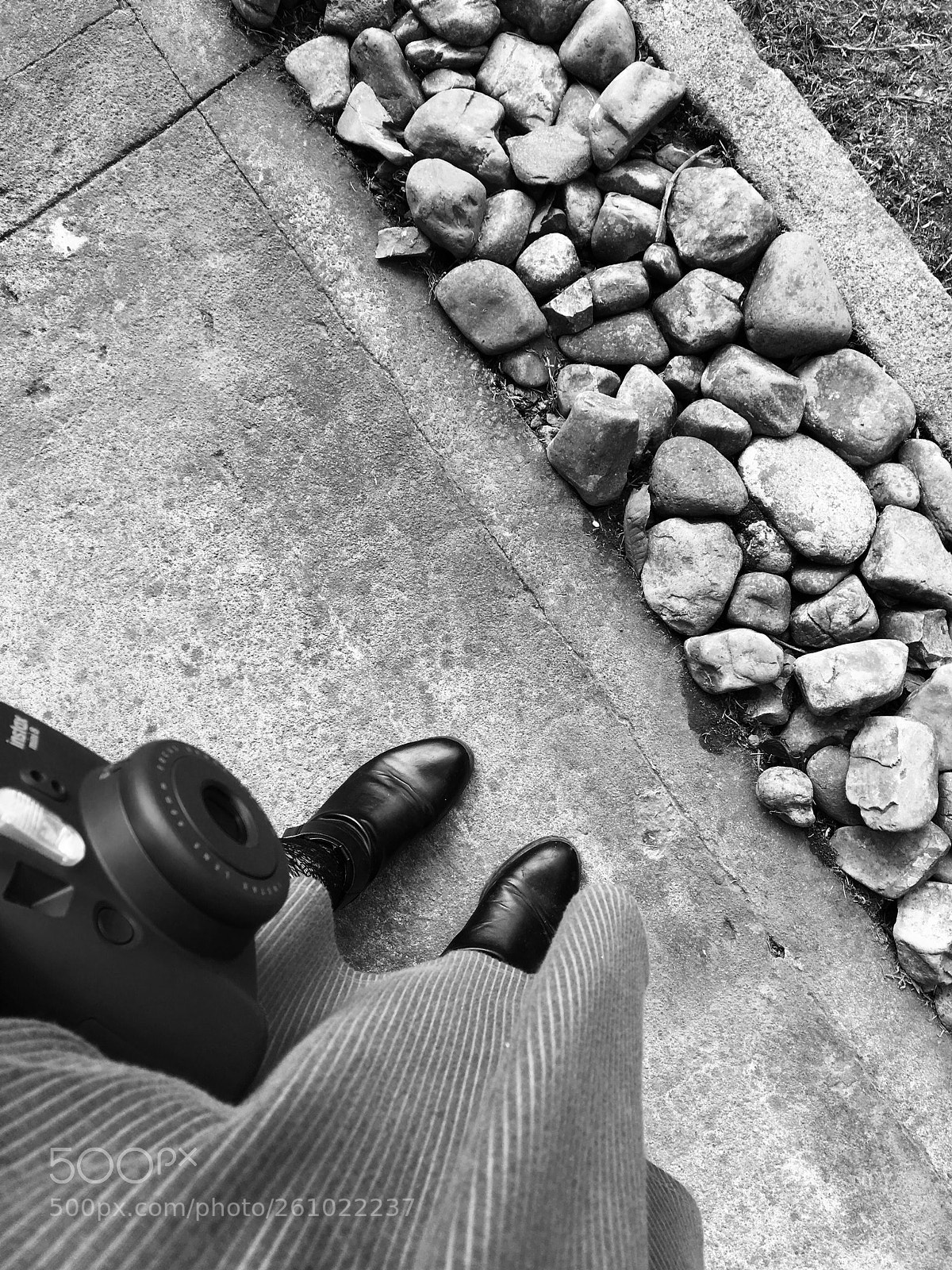 Apple iPhone 6s sample photo. B&w garden photography