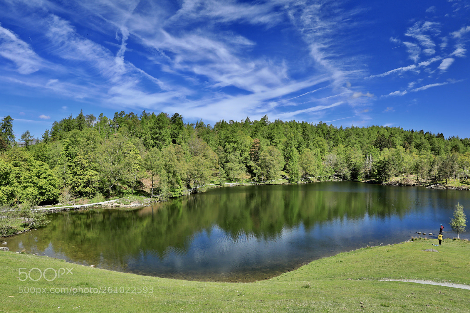 Canon EOS 5D Mark IV sample photo. Untitled photography