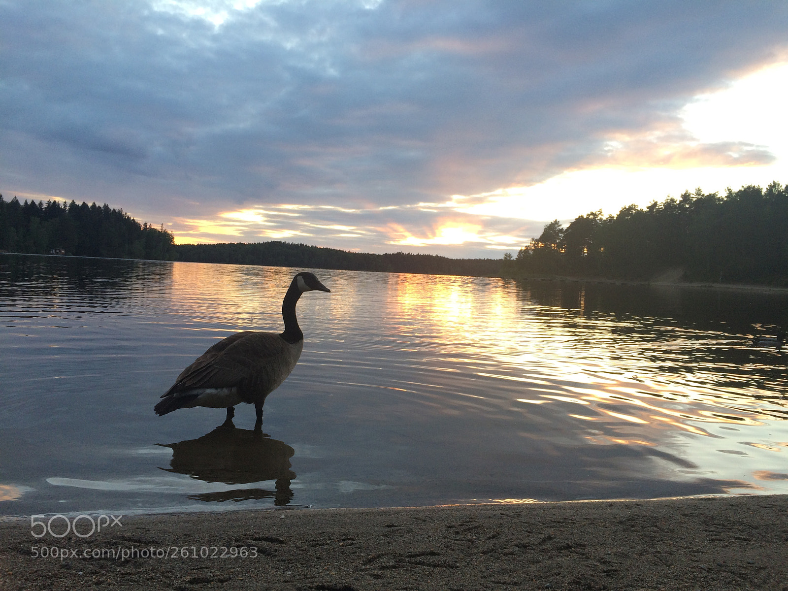 Apple iPhone 5s sample photo. Lake in the evening photography