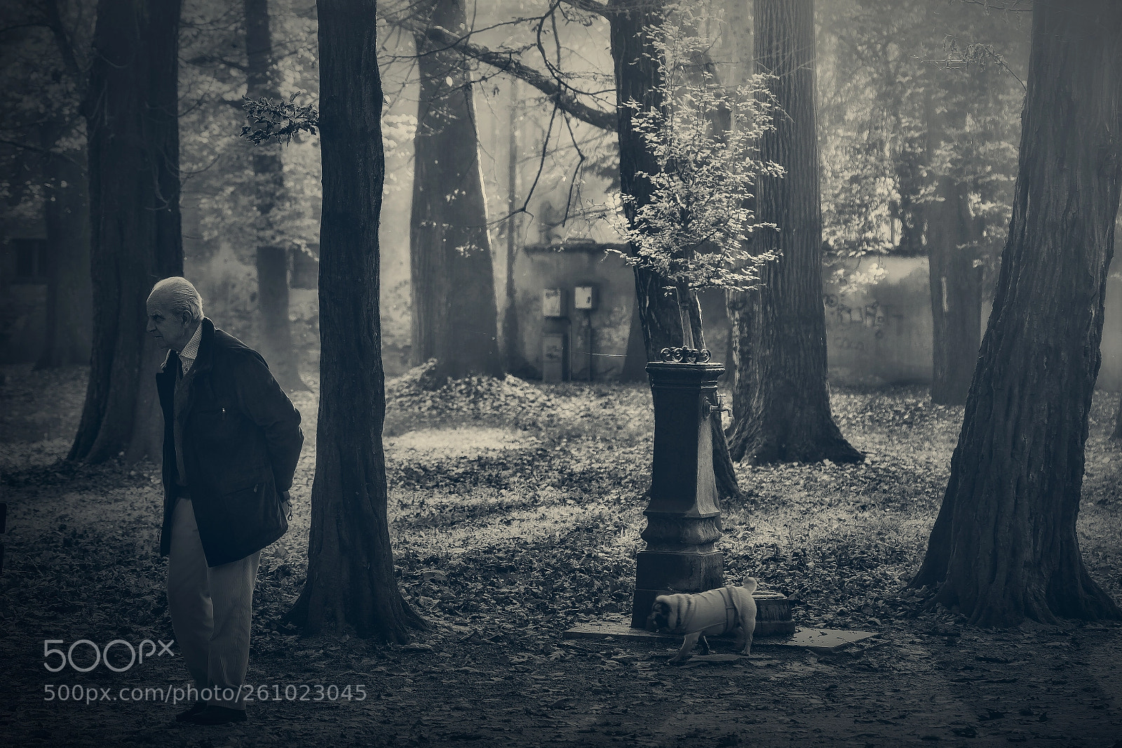 Canon EOS 7D sample photo. Walking with the dog photography