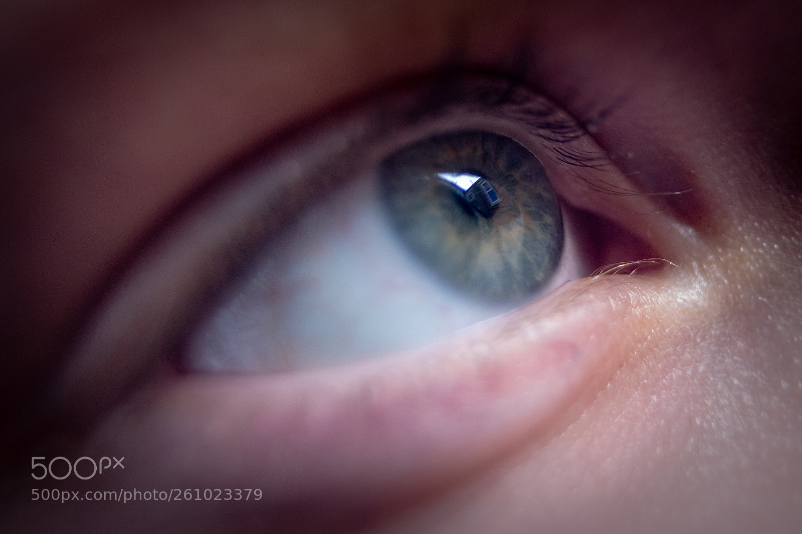 Canon EOS 6D sample photo. Eye photography