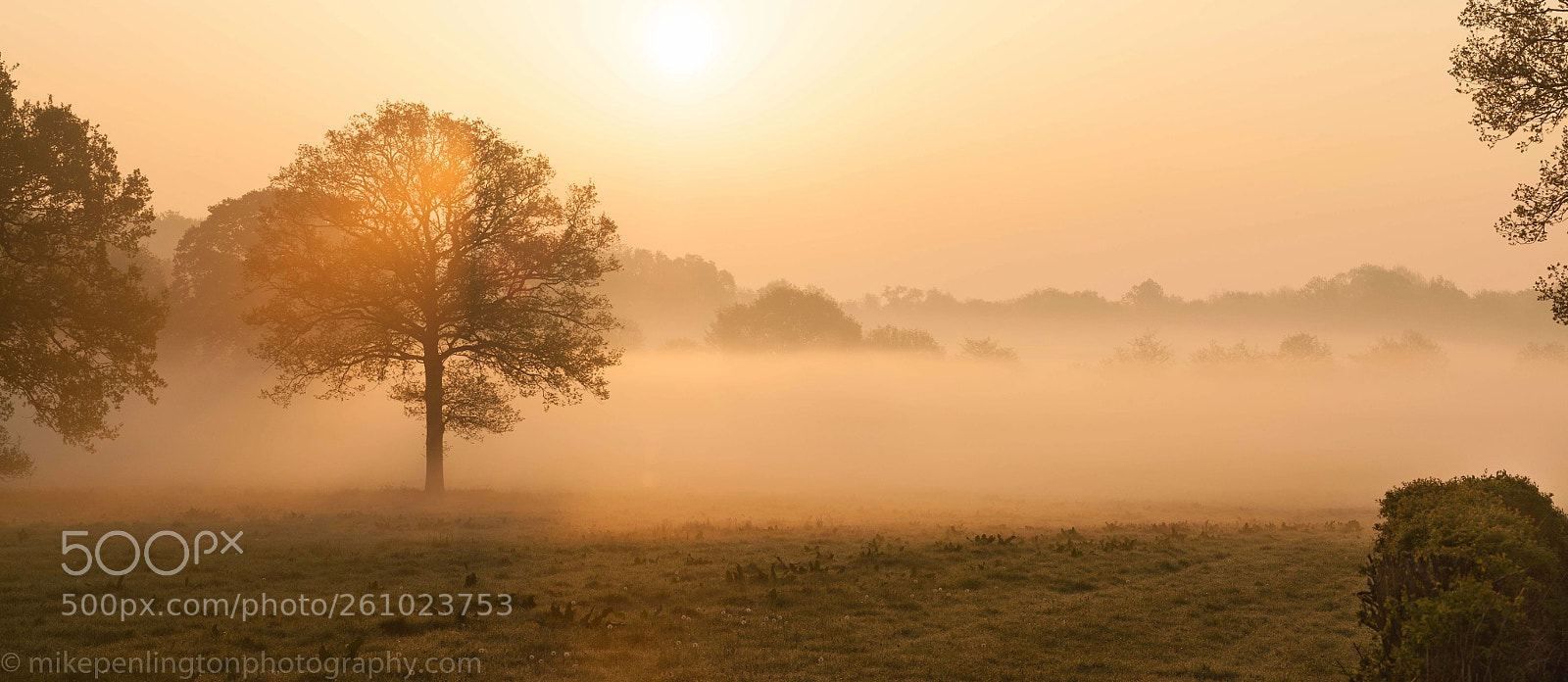 Nikon D700 sample photo. Outside my village photography