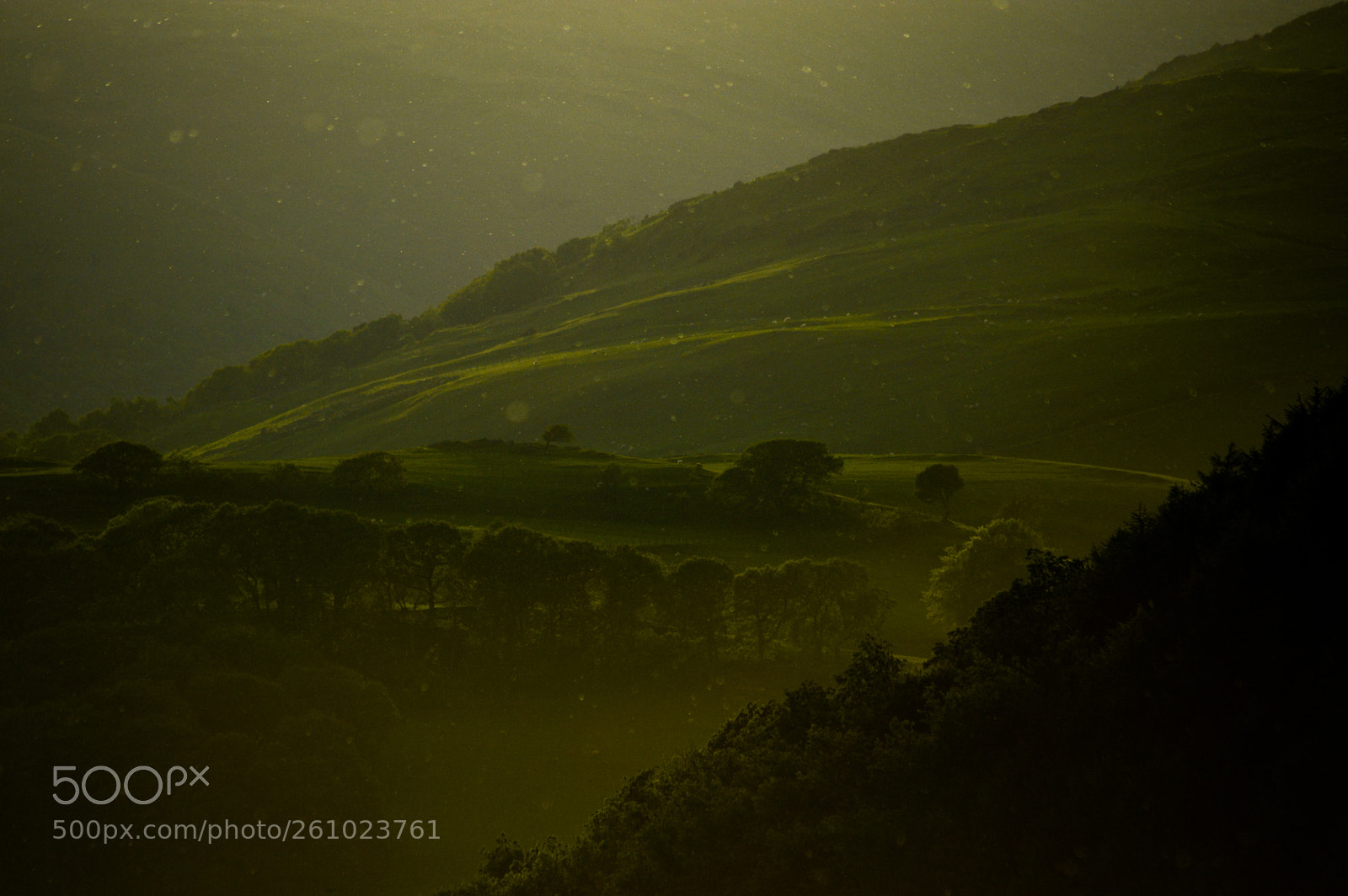 Nikon D3200 sample photo. Dyfi valley dusk photography