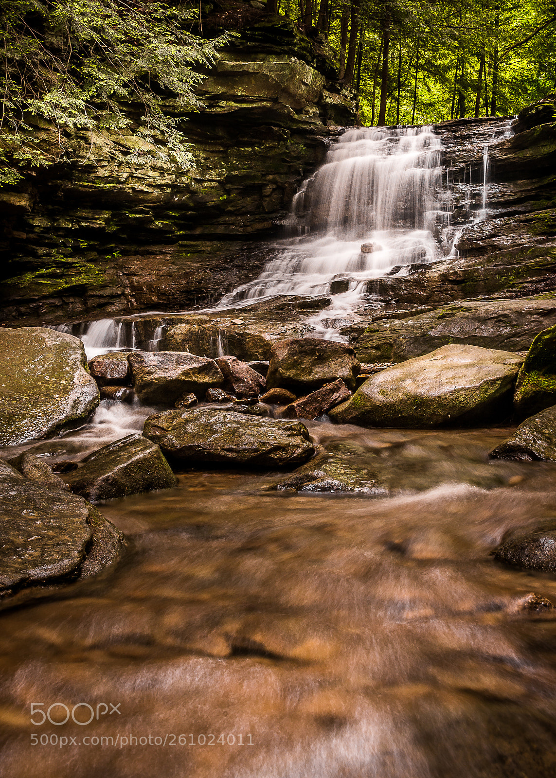 Nikon D600 sample photo. Honey run falls photography