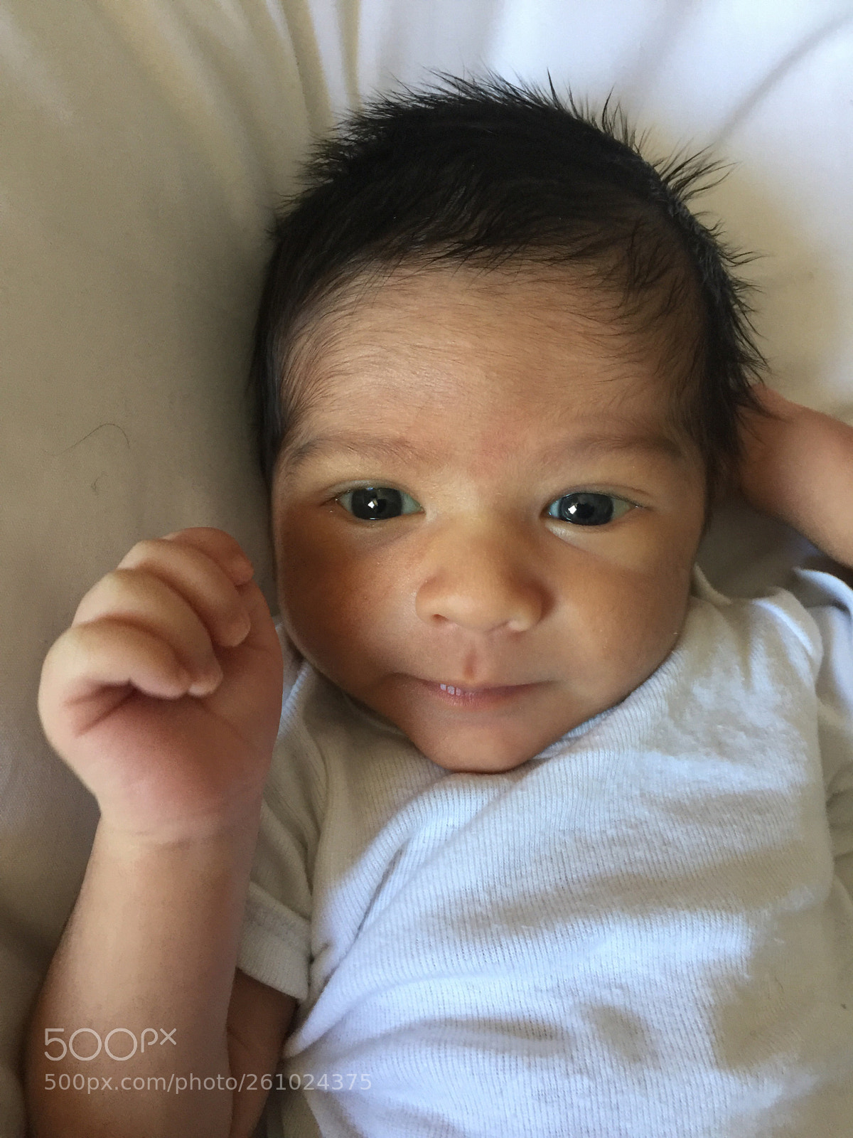Apple iPhone 6 Plus sample photo. Curious eyes photography