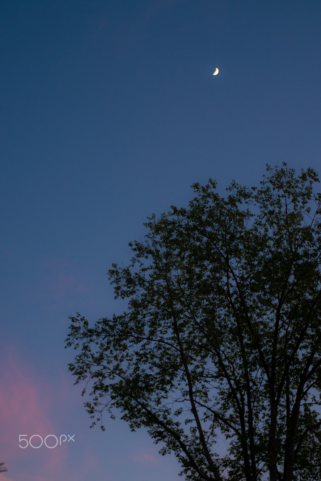 Fujifilm X-E2S sample photo. Moon photography