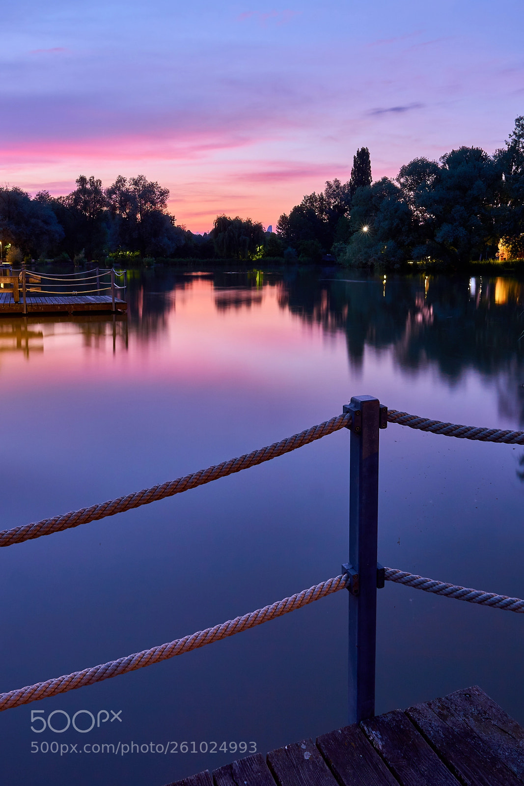 Sony a6000 sample photo. A dream in purple photography