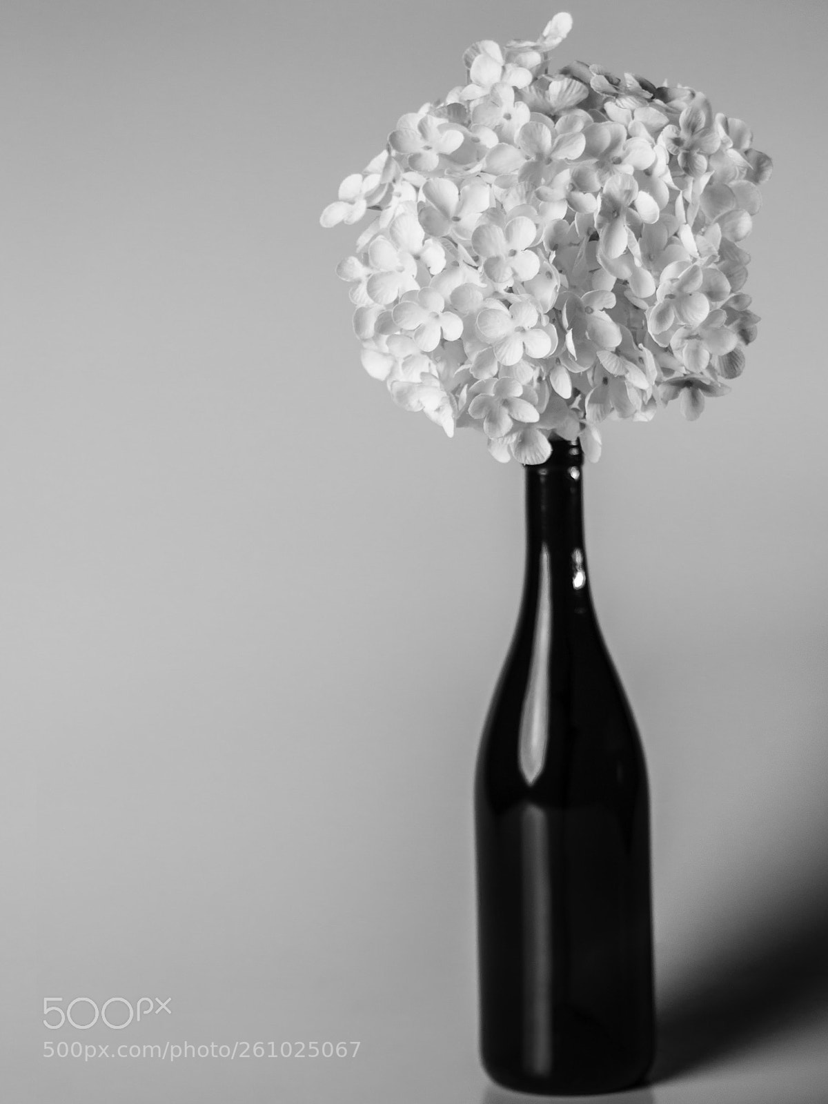 Canon EOS 70D sample photo. B howard colin 2 photography