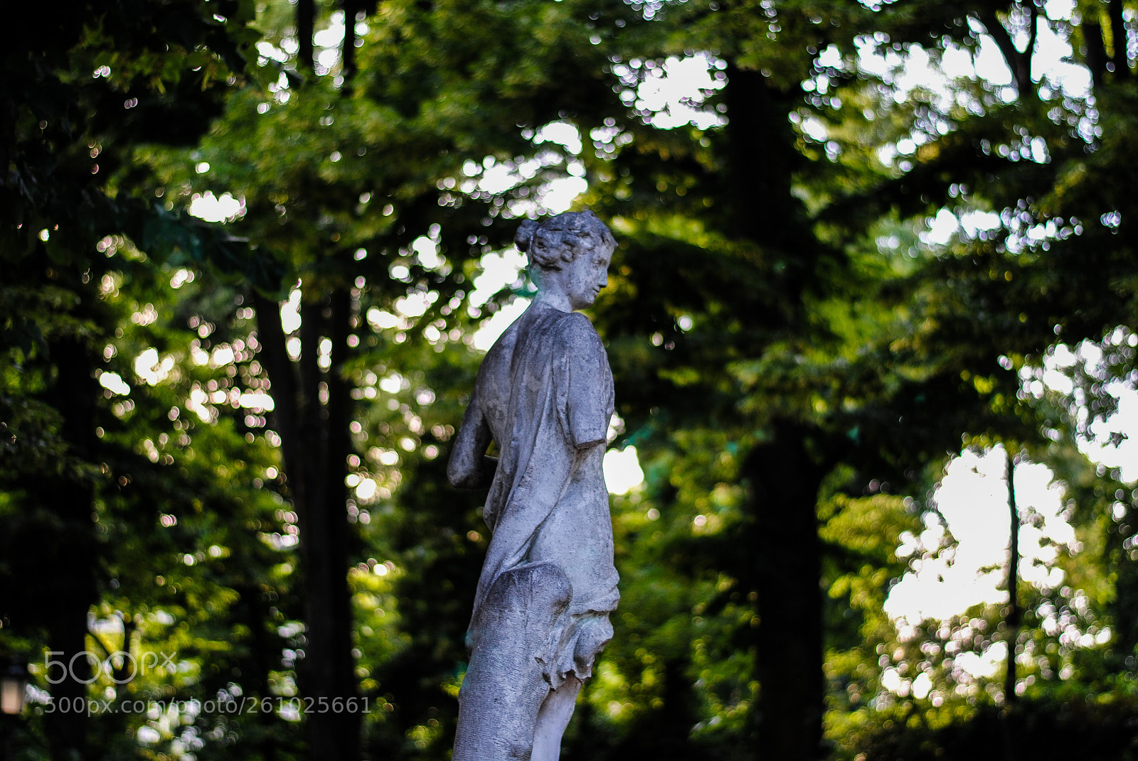 Nikon D3000 sample photo. Walking in the park photography