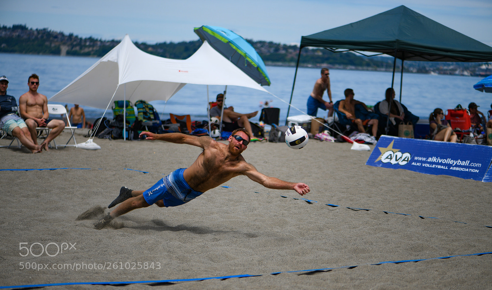 Nikon D850 sample photo. The immaculate deflection. photography