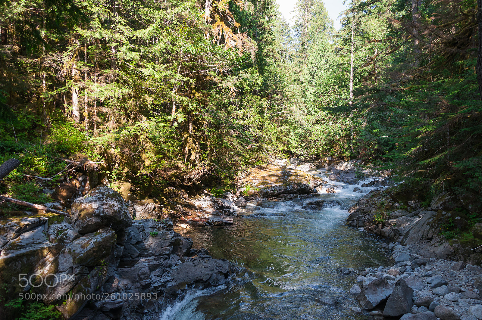 Nikon D90 sample photo. Mountain river 5 photography