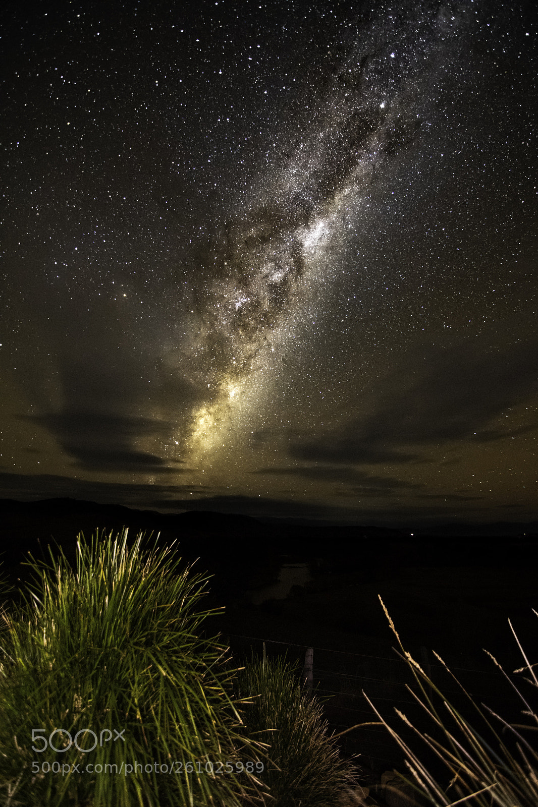 Nikon D500 sample photo. Milky way over corryong photography