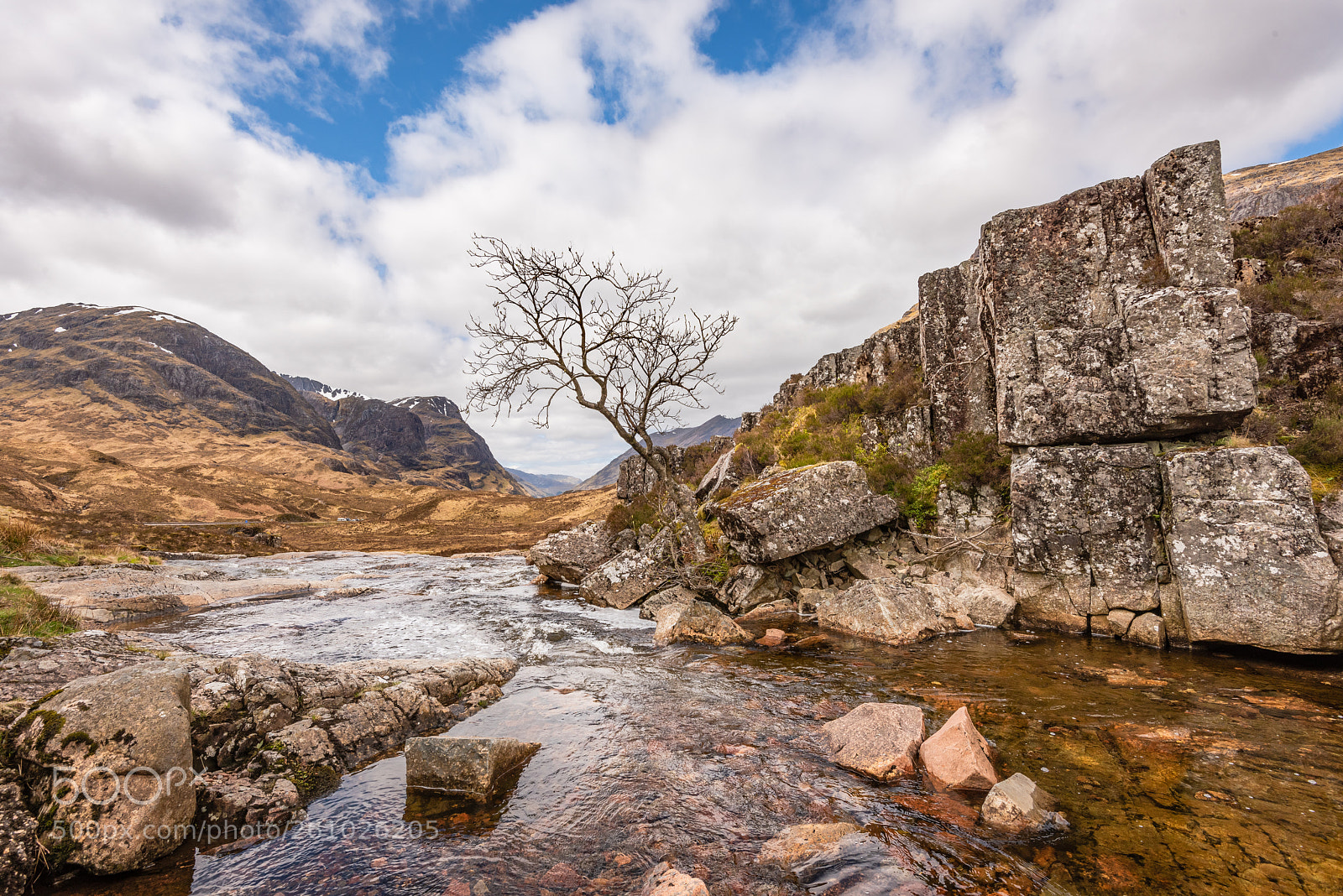 Nikon D810 sample photo. That tree in glen photography