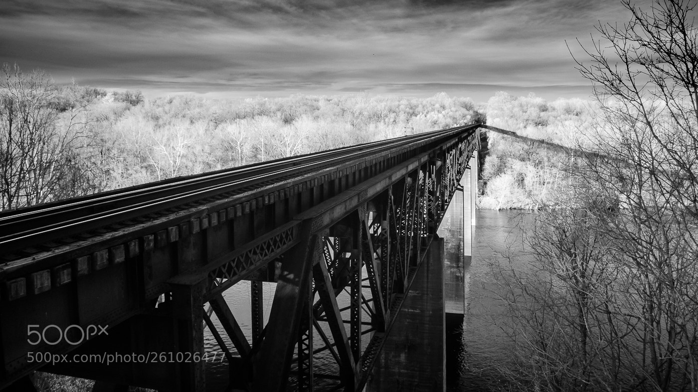 Nikon D5100 sample photo. Bridge photography