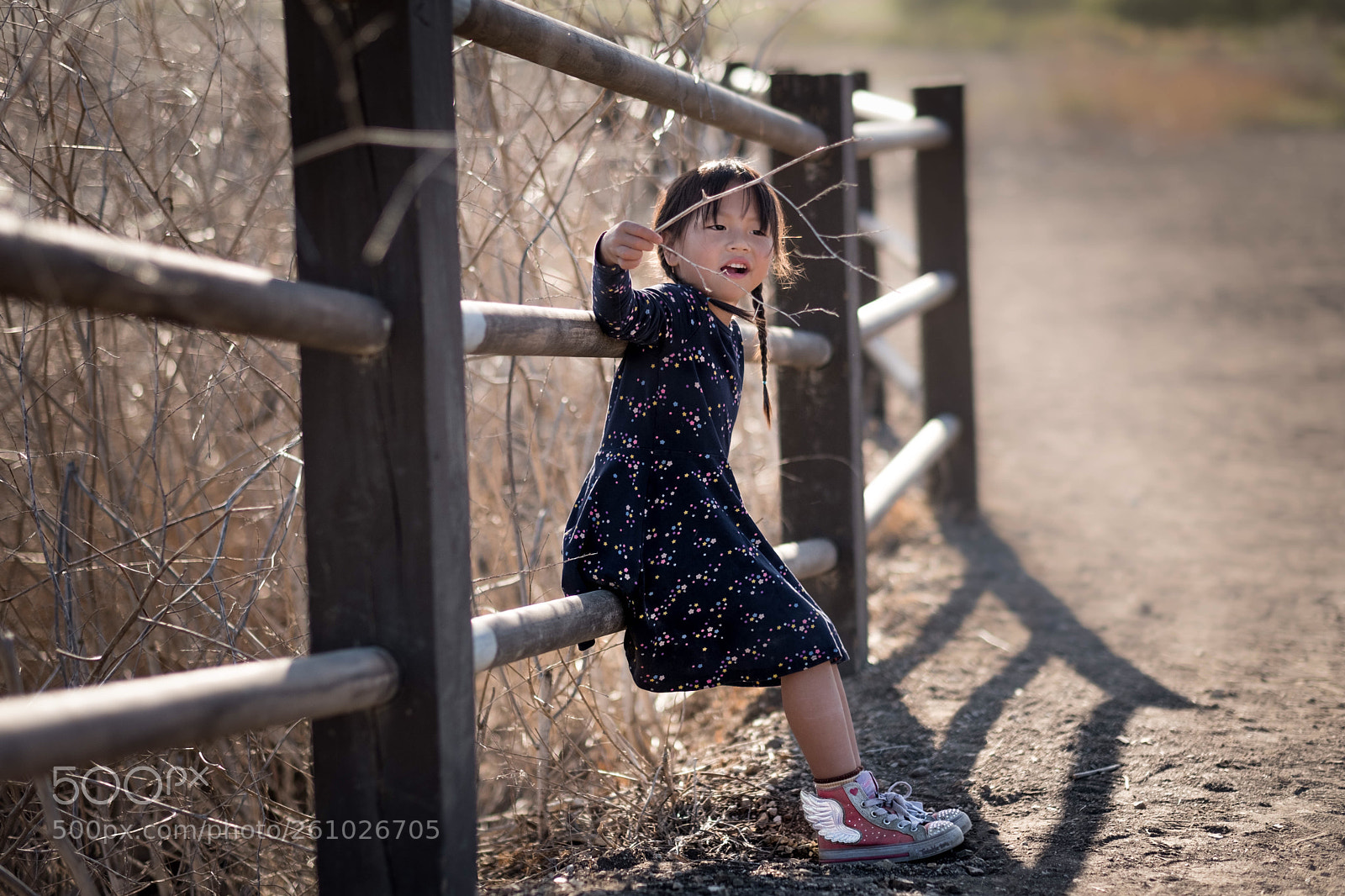 Fujifilm X-T2 sample photo. Untitled photography