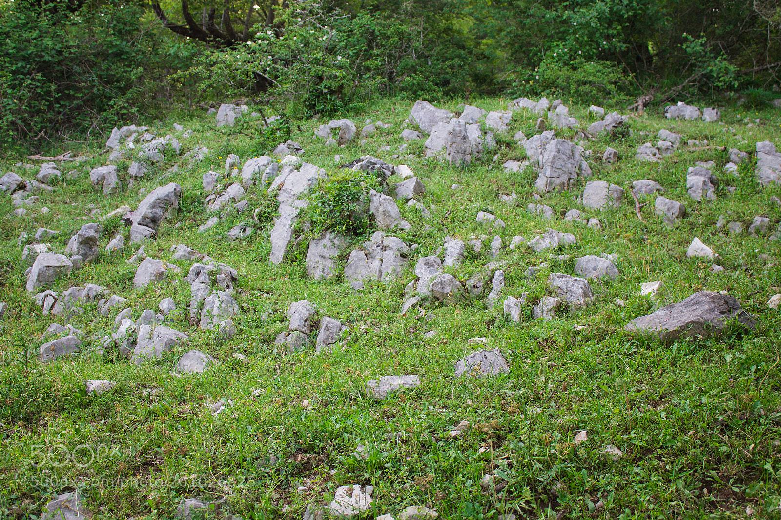 Canon EOS 1100D (EOS Rebel T3 / EOS Kiss X50) sample photo. Immaginary stonehenge photography