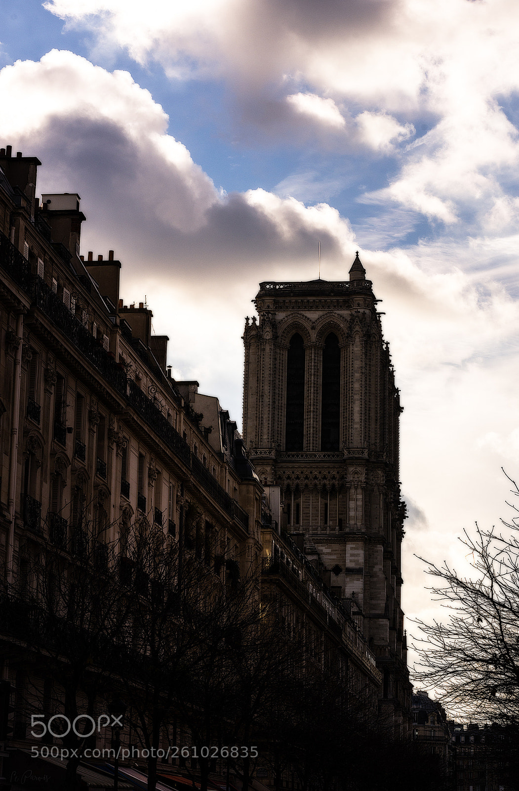 Nikon D7200 sample photo. Notre dame photography