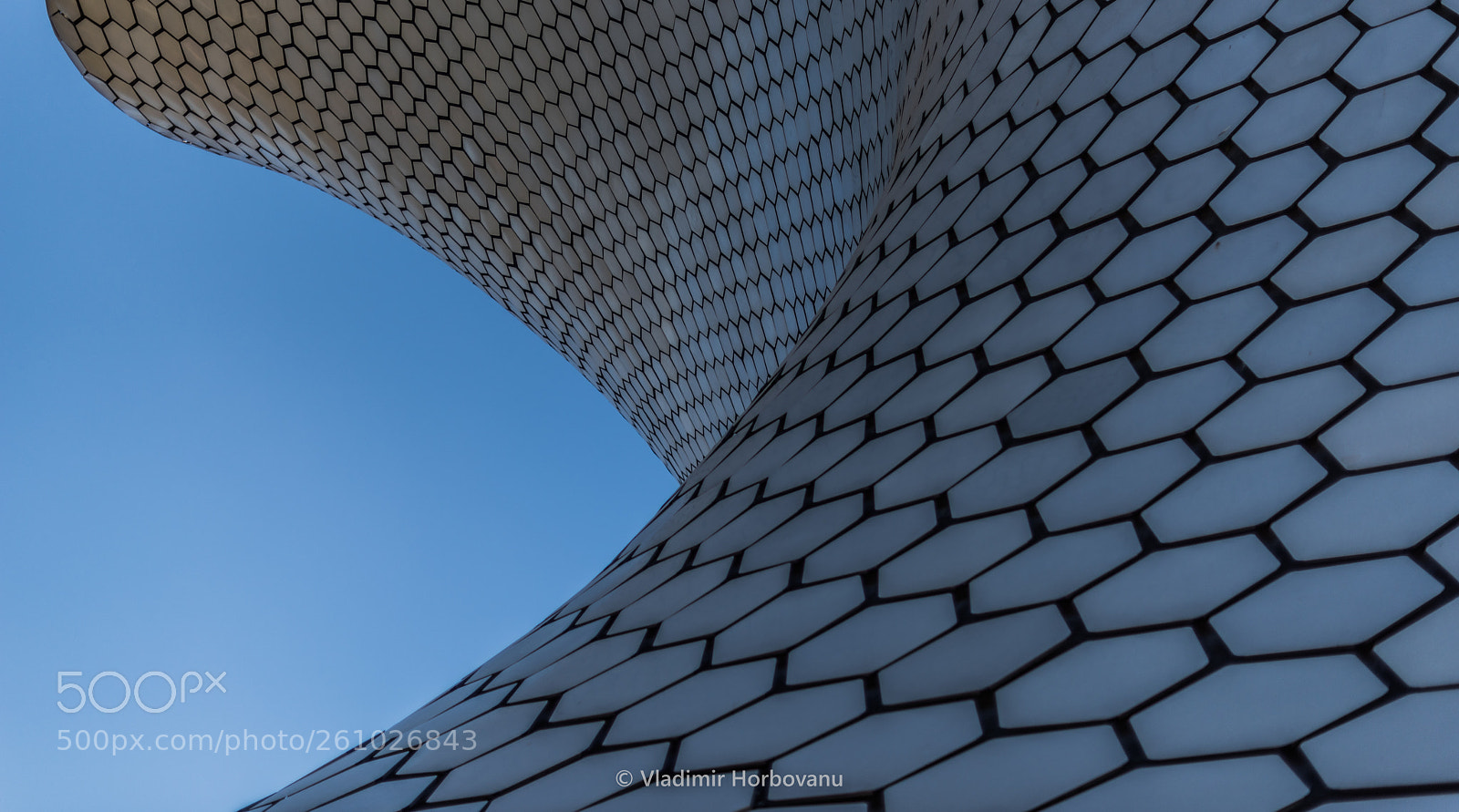 Nikon D810 sample photo. Supple photography