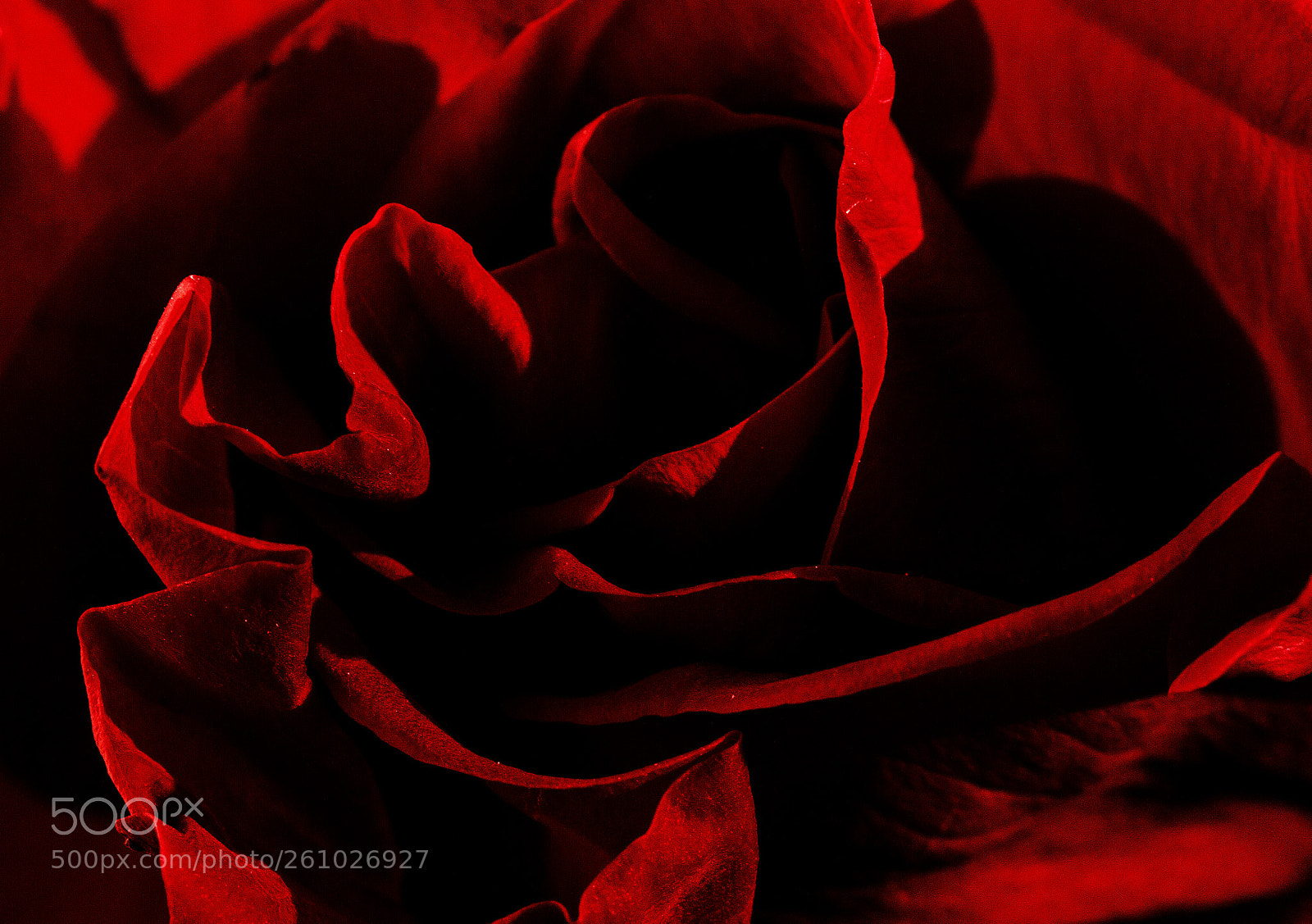 Canon EOS 7D sample photo. Untitled photography