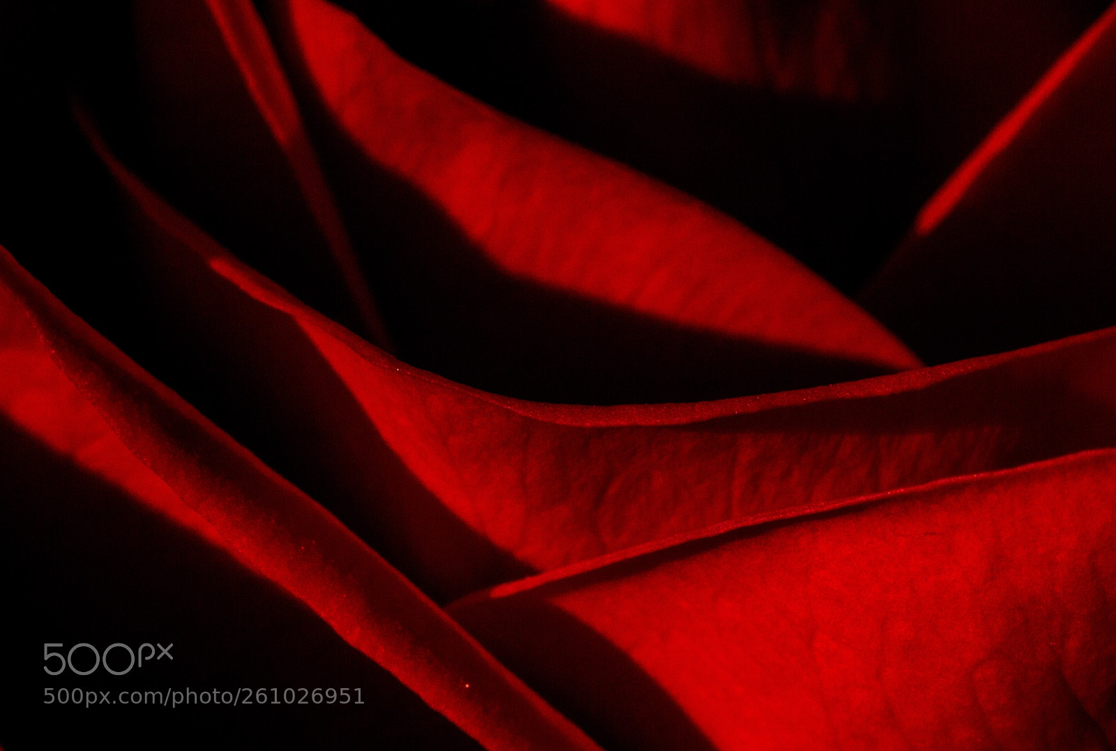 Canon EOS 7D sample photo. Untitled photography