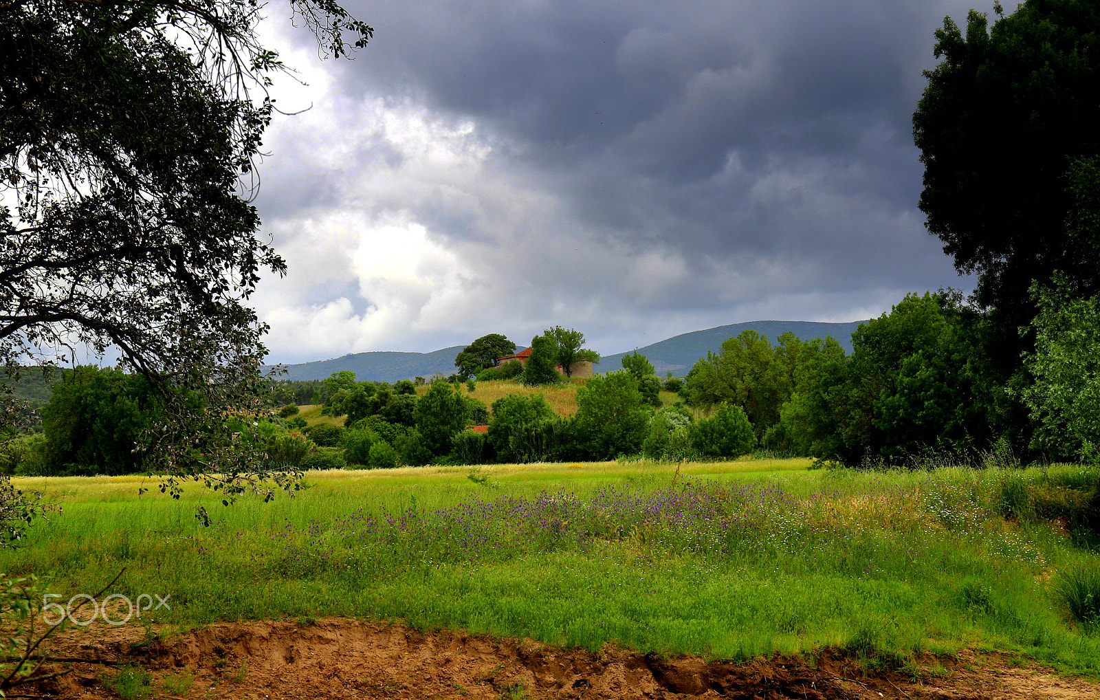 Canon EF 24-70mm F4L IS USM sample photo. Weather photography