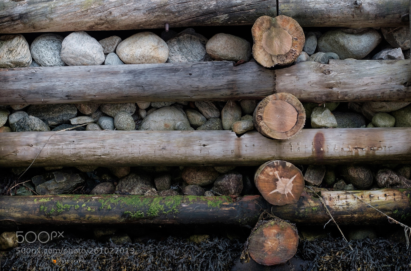 Fujifilm X-T1 sample photo. Pattern photography