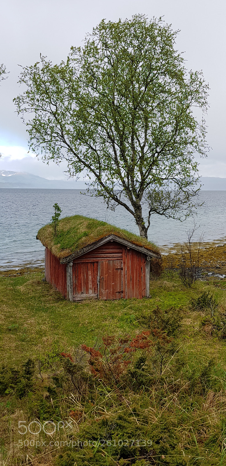 Samsung Galaxy S8 sample photo. An old shed photography