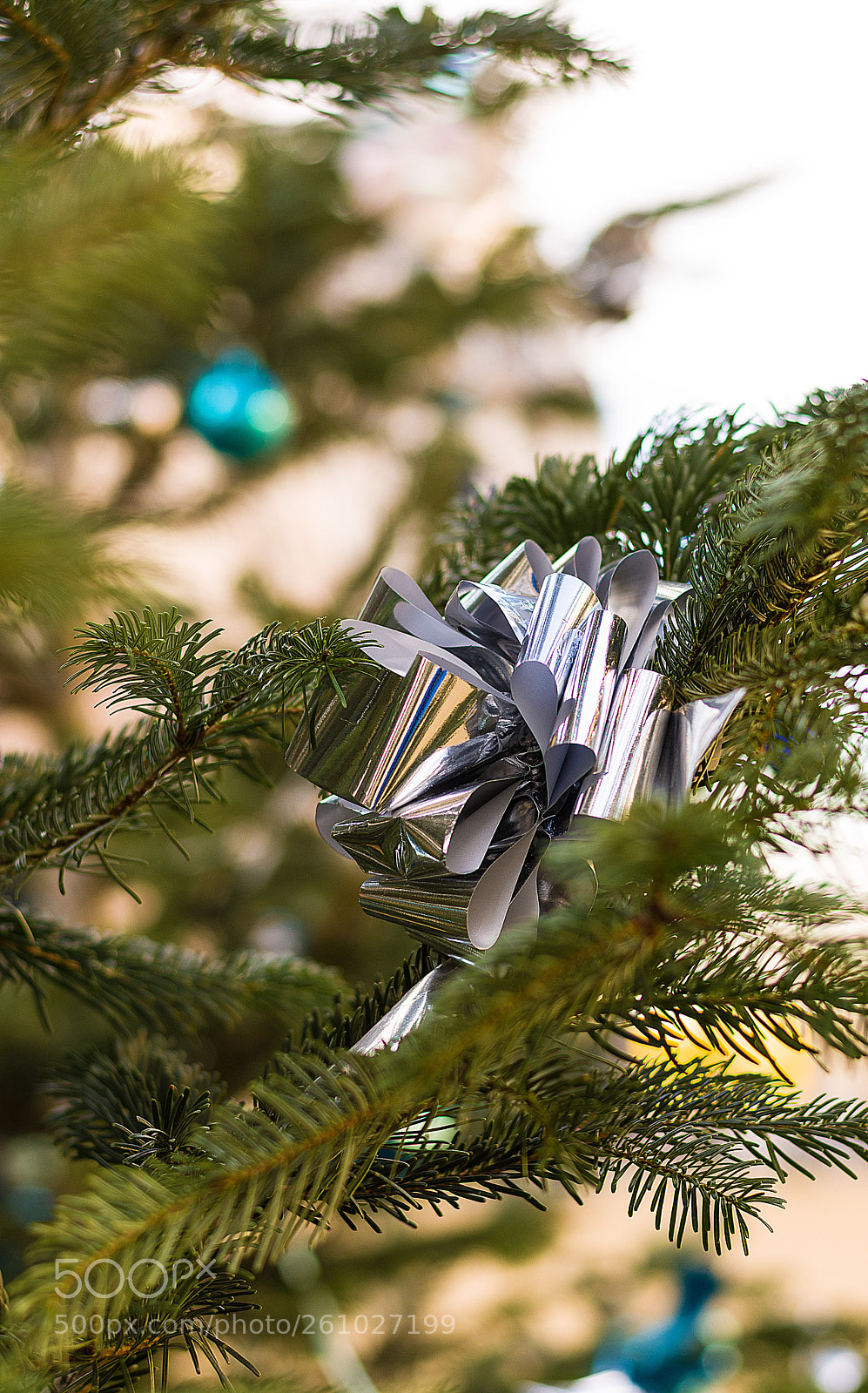 Nikon D7200 sample photo. Christmas in paris photography